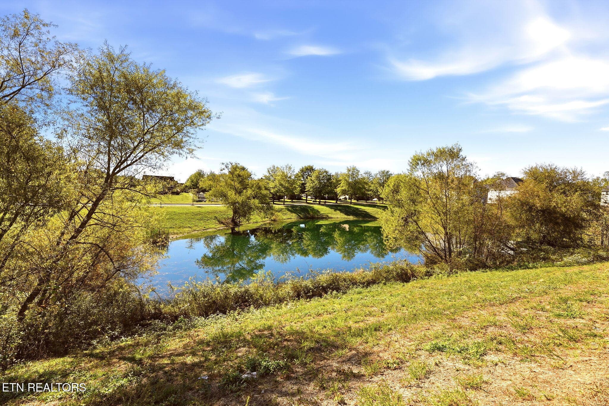 33-web-or-mls-DSC_1922 - 114 Deerberry Lane, Oak Ridge, TN 37830