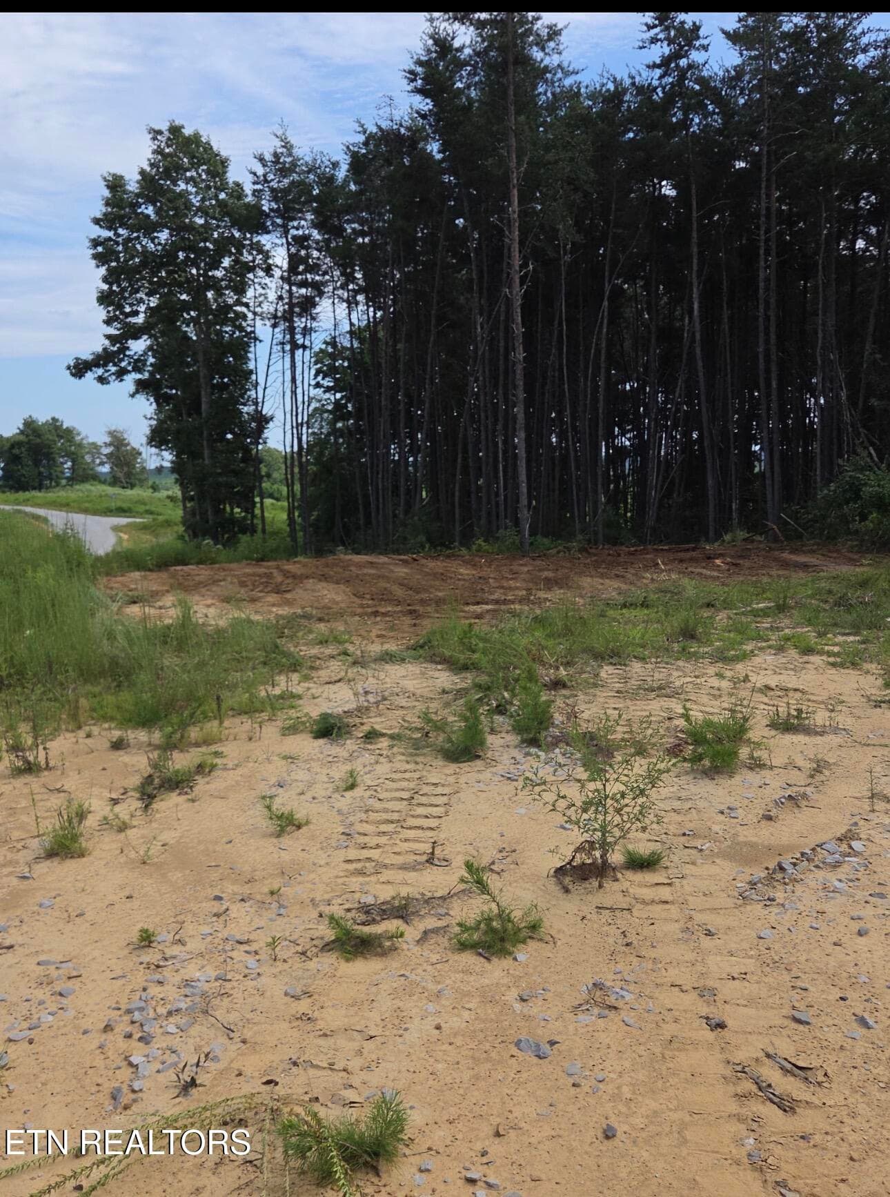 IMG_2605 - Lot 49 SR 399, Dunlap, TN 37327