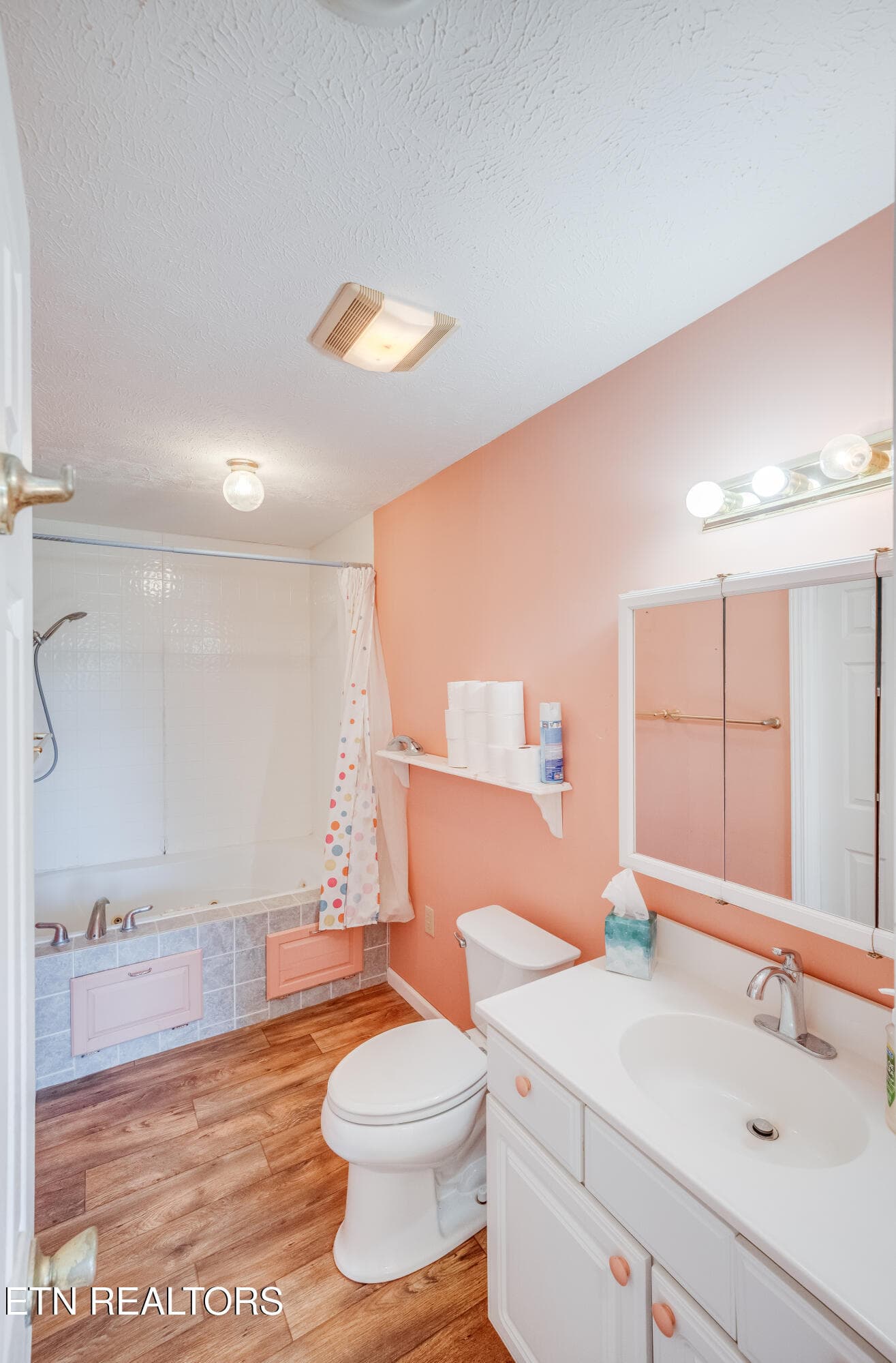 45 Primary Bath_20047 - 664 Ross Drive, Dandridge, TN 37725