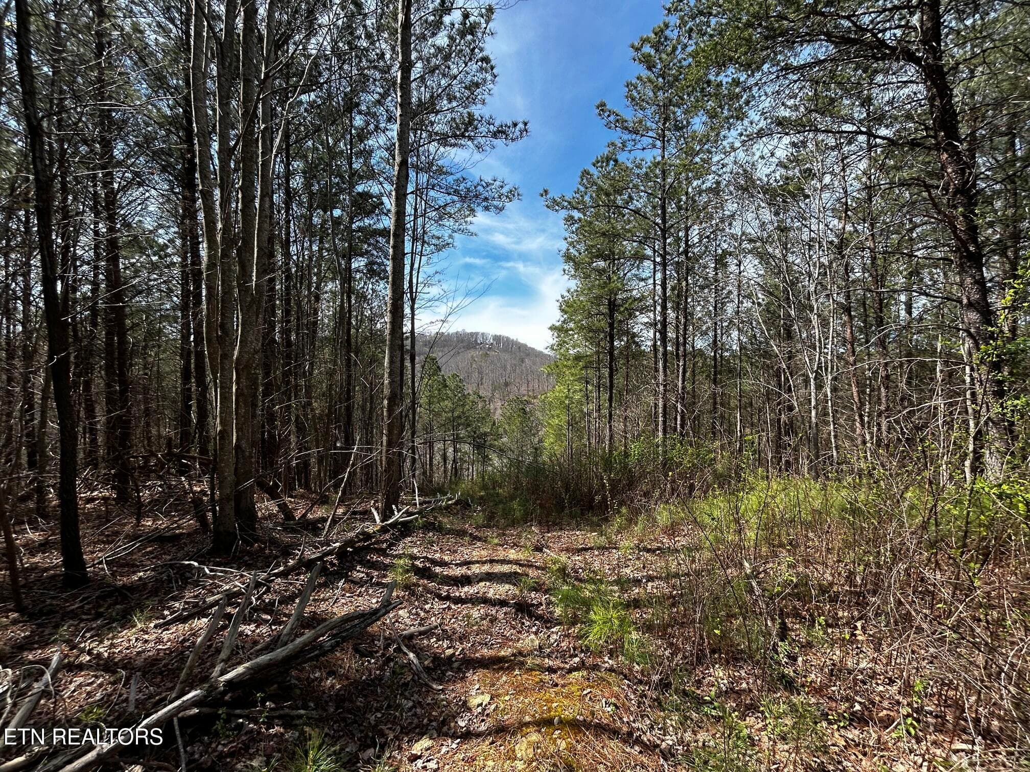 owl 2 10 - Tract 2 SW Owl Hollow, McDonald, TN 37353