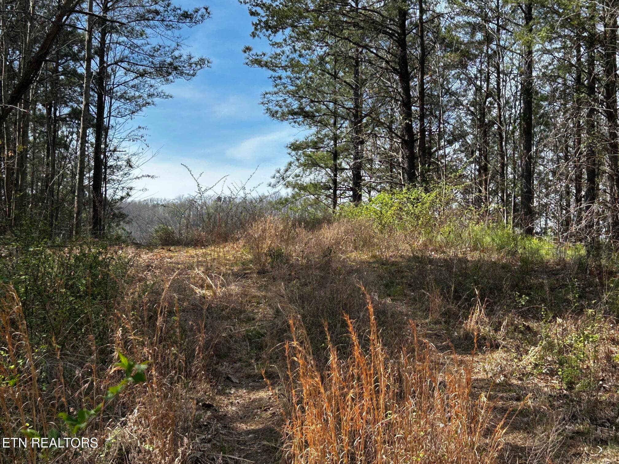 owl 2 11 - Tract 2 SW Owl Hollow, McDonald, TN 37353