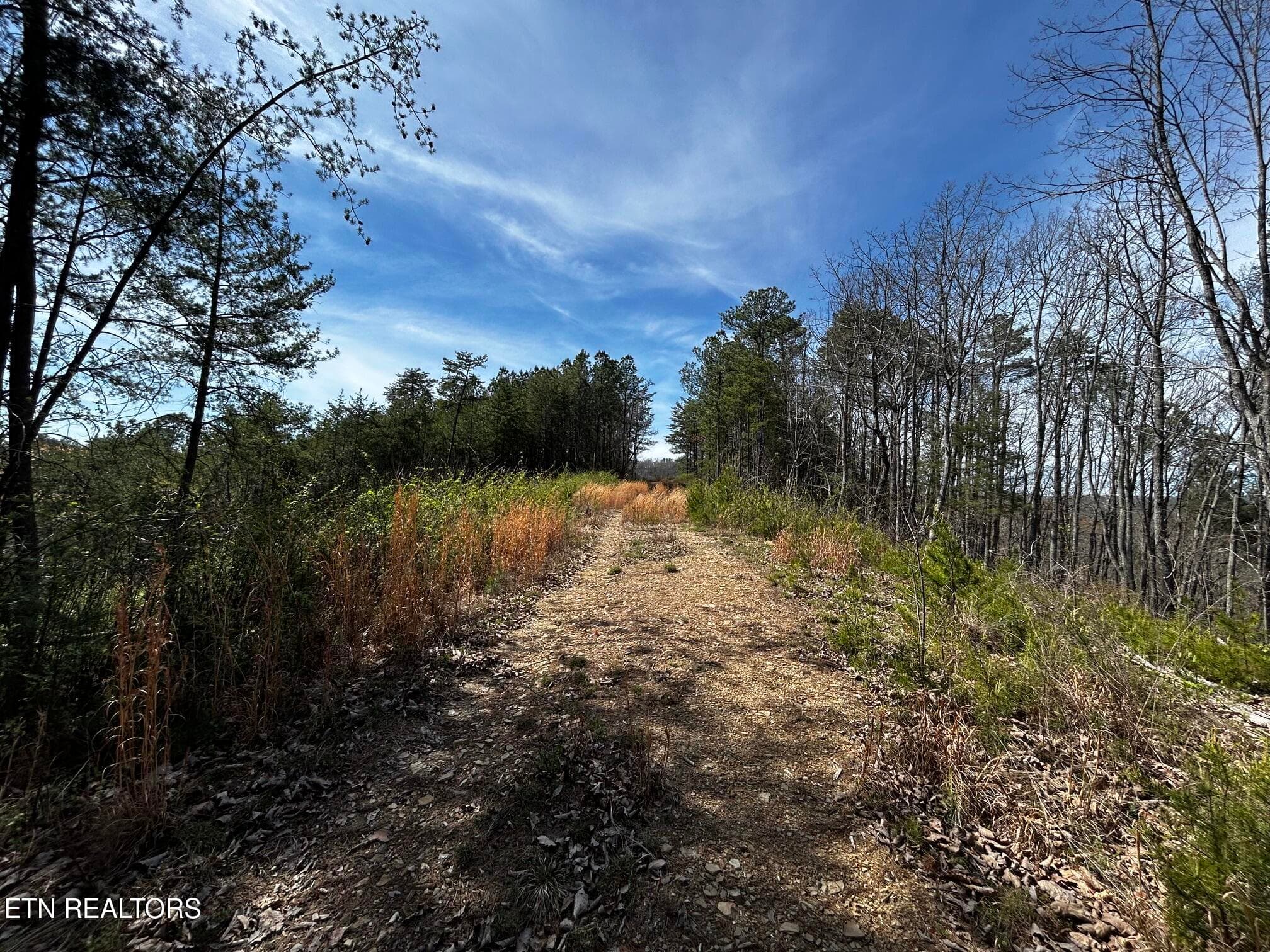 owl 2 17 - Tract 2 SW Owl Hollow, McDonald, TN 37353