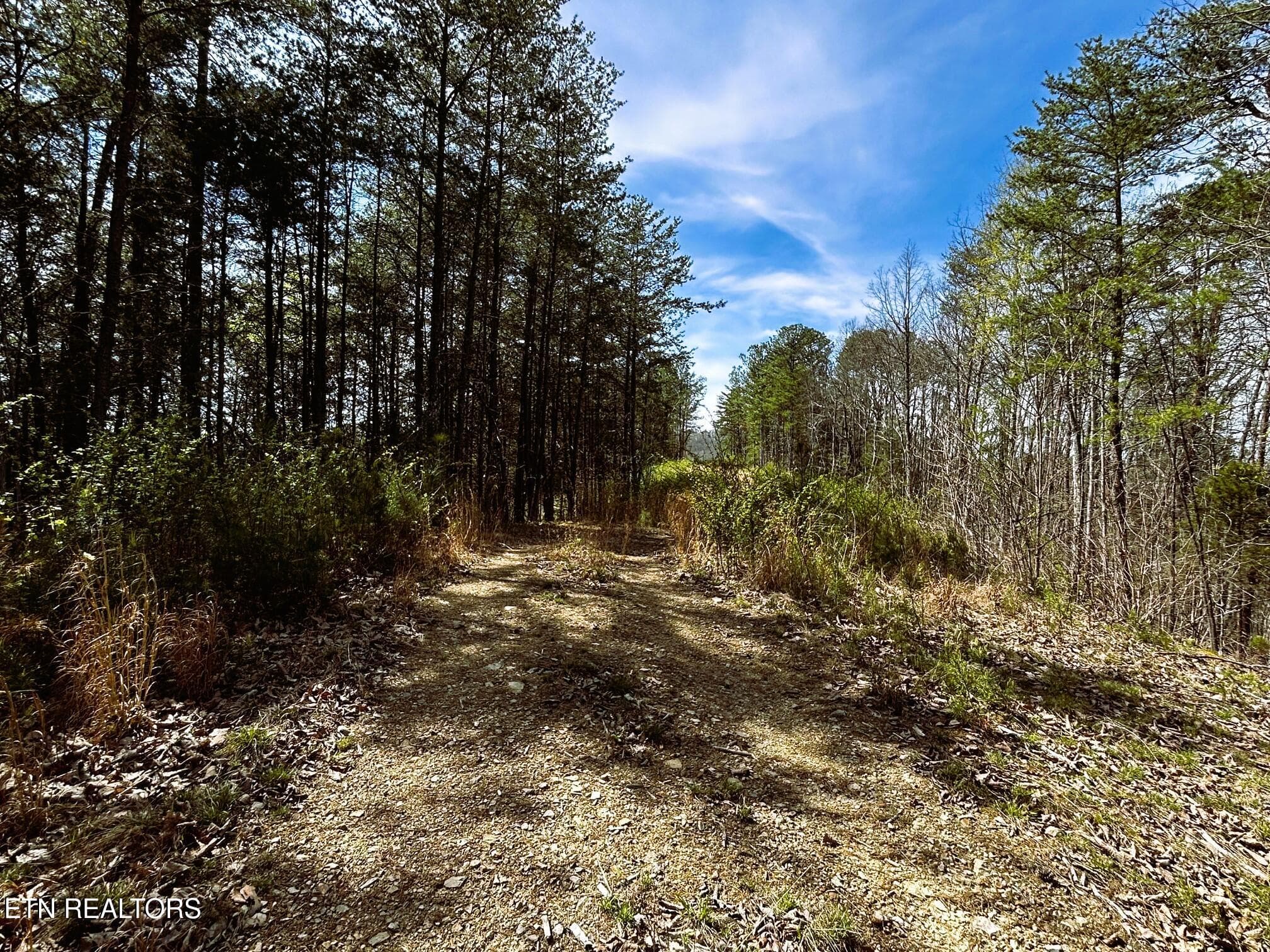 owl 2 21 - Tract 2 SW Owl Hollow, McDonald, TN 37353