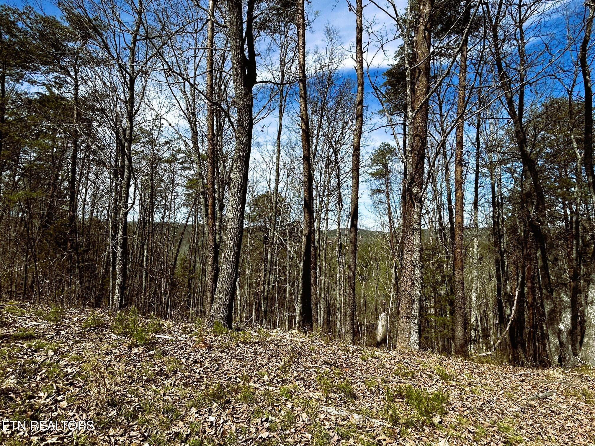 owl 2 23 - Tract 2 SW Owl Hollow, McDonald, TN 37353