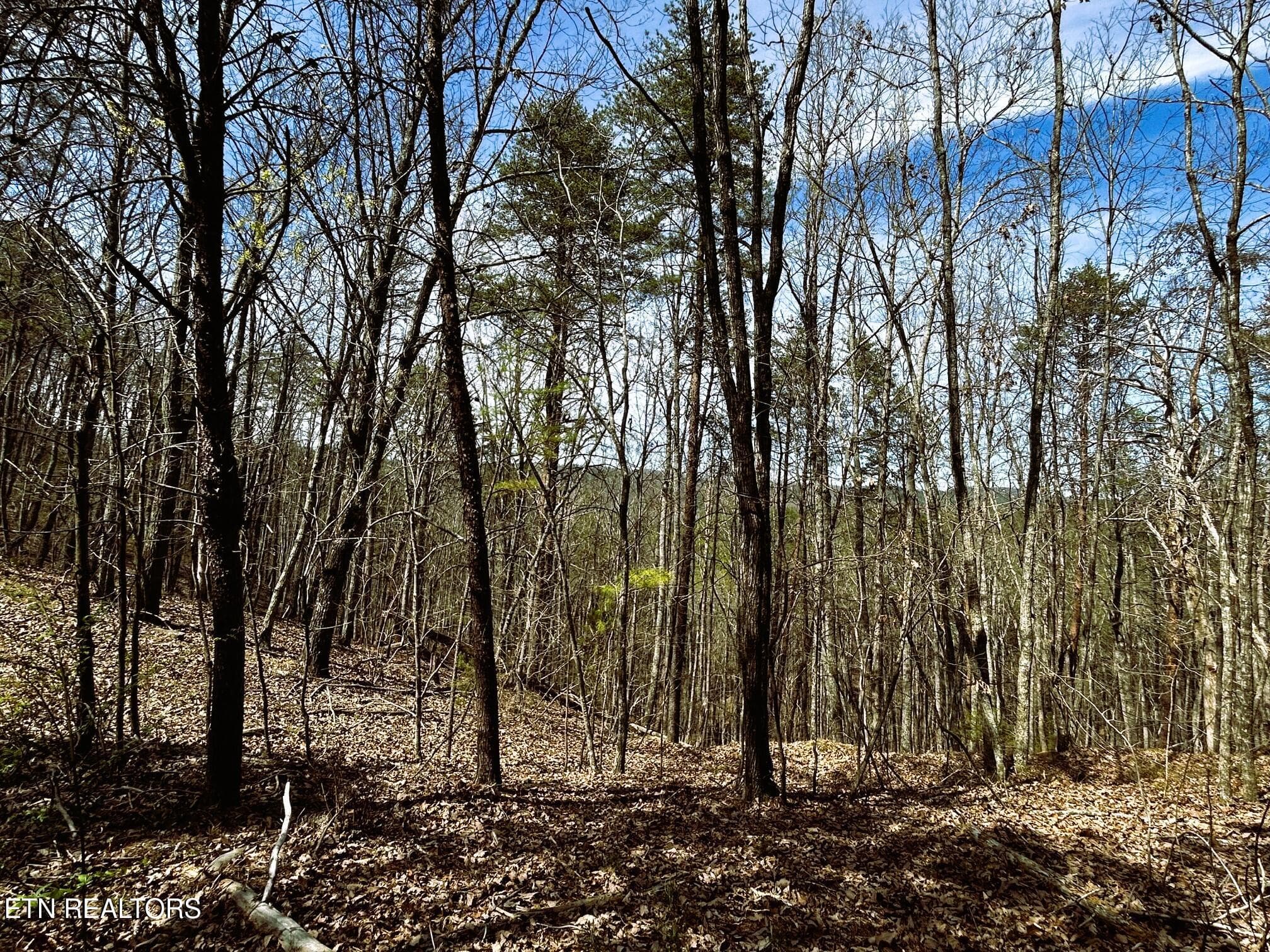 owl 2 24 - Tract 2 SW Owl Hollow, McDonald, TN 37353