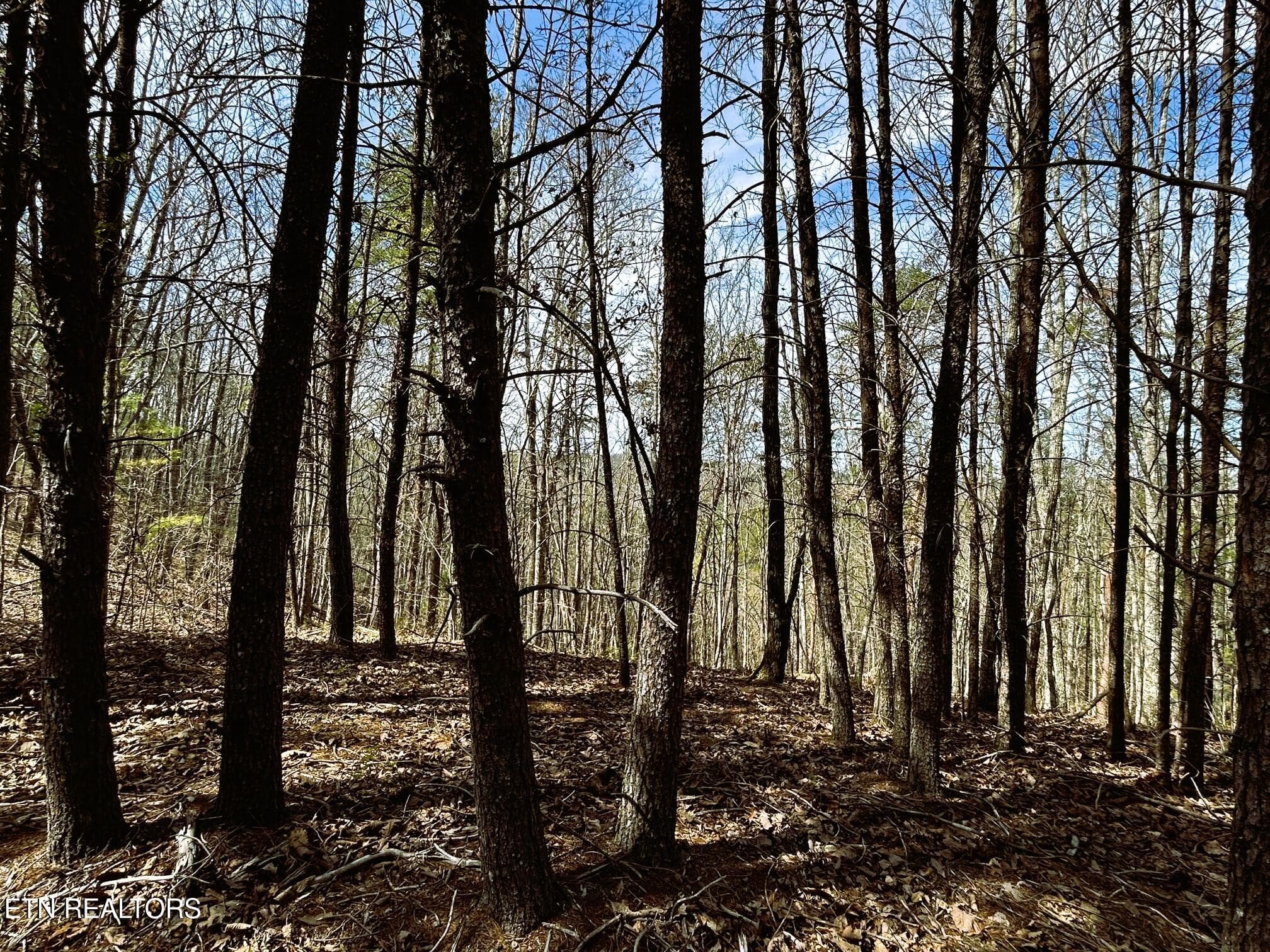 owl 2 25 - Tract 2 SW Owl Hollow, McDonald, TN 37353