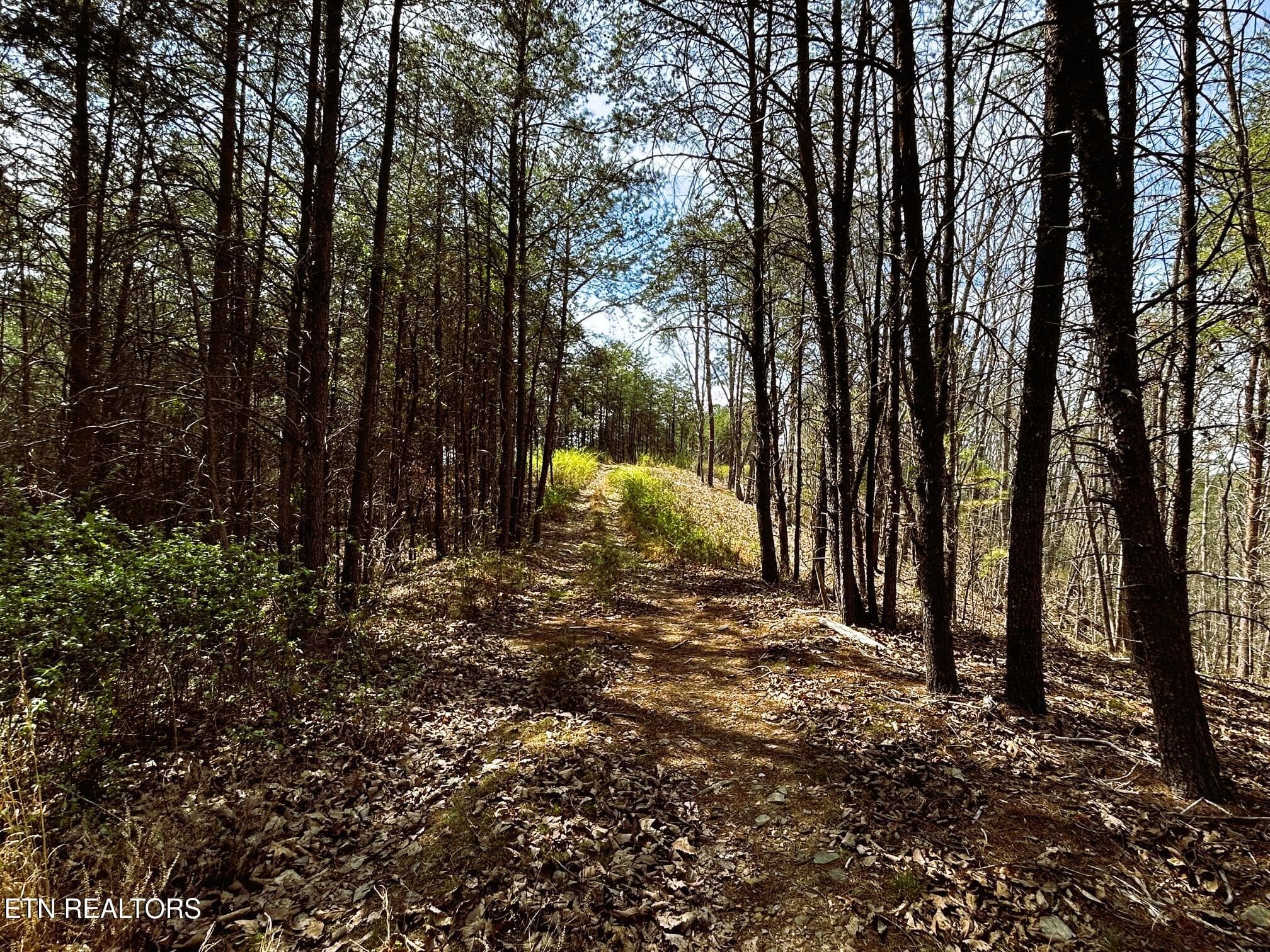 owl 2 26 - Tract 2 SW Owl Hollow, McDonald, TN 37353