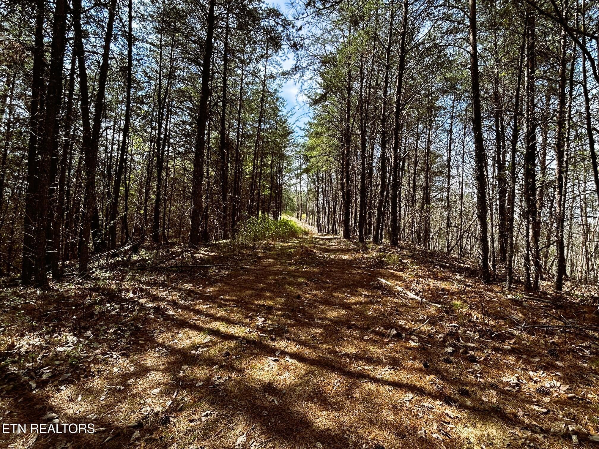 owl 2 27 - Tract 2 SW Owl Hollow, McDonald, TN 37353