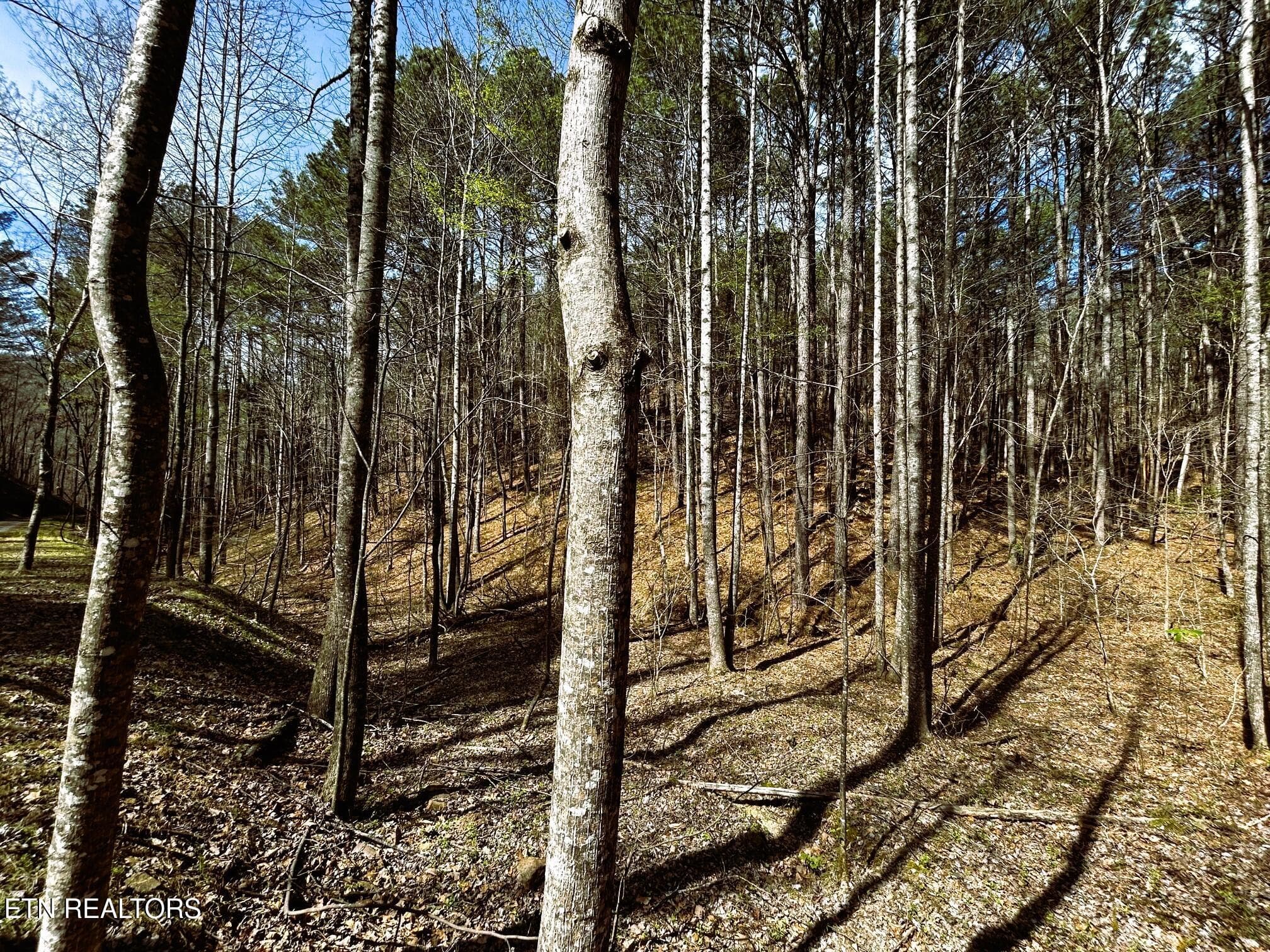 OWL 2 29 - Tract 2 SW Owl Hollow, McDonald, TN 37353