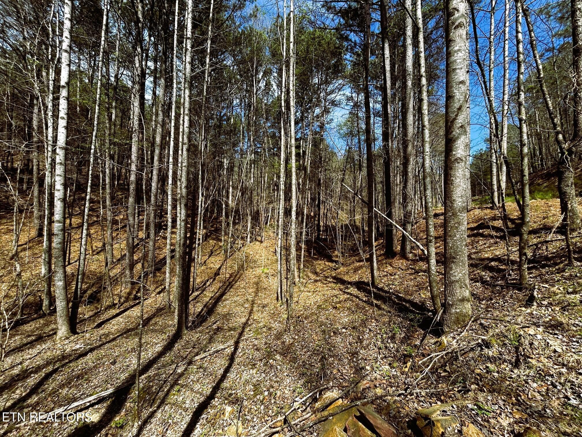 OWL 2 30 - Tract 2 SW Owl Hollow, McDonald, TN 37353