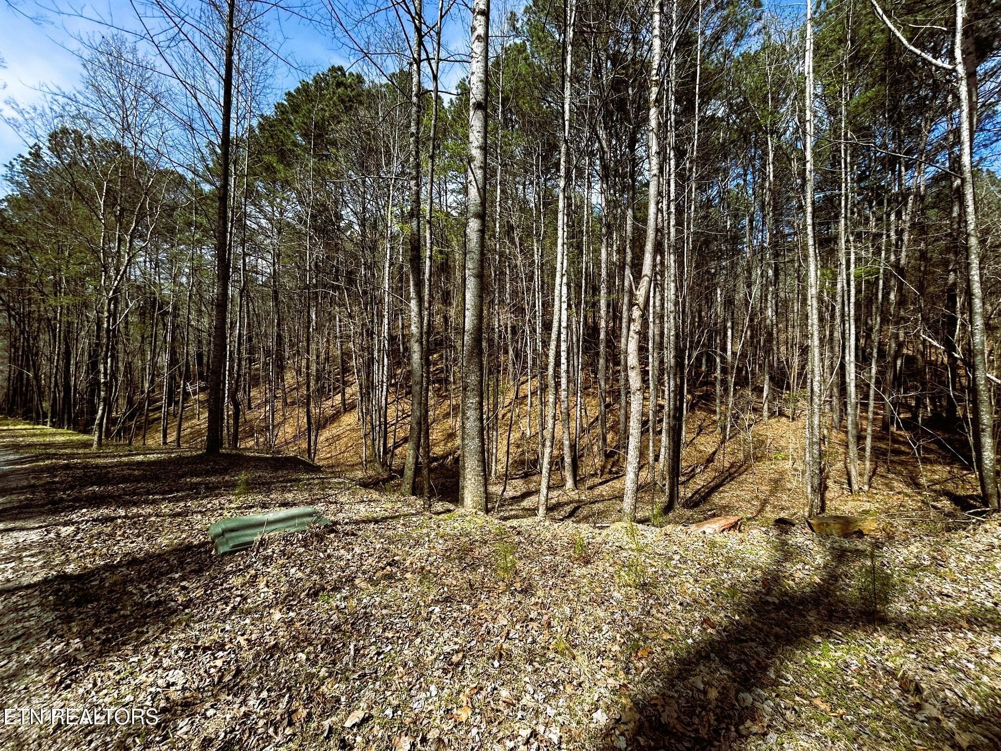 OWL 2 31 - Tract 2 SW Owl Hollow, McDonald, TN 37353