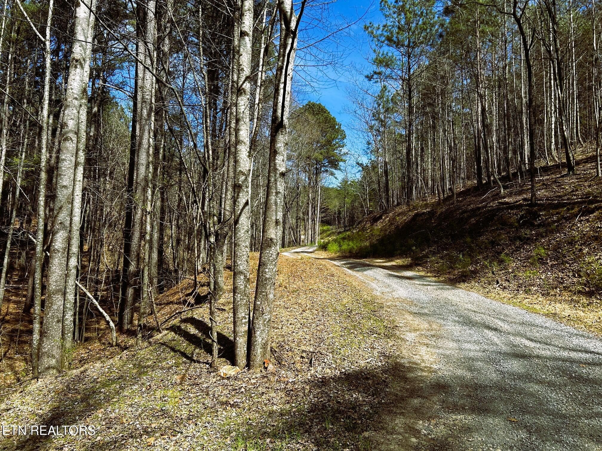 OWL 2 32 - Tract 2 SW Owl Hollow, McDonald, TN 37353