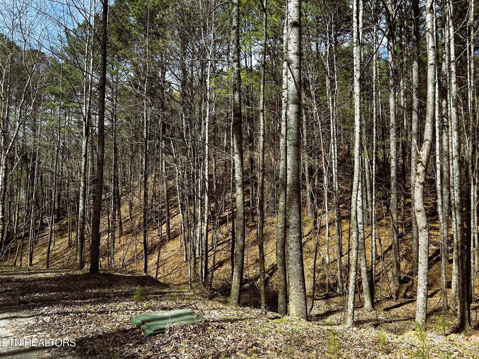 OWL 2 33+ - Tract 2 SW Owl Hollow, McDonald, TN 37353