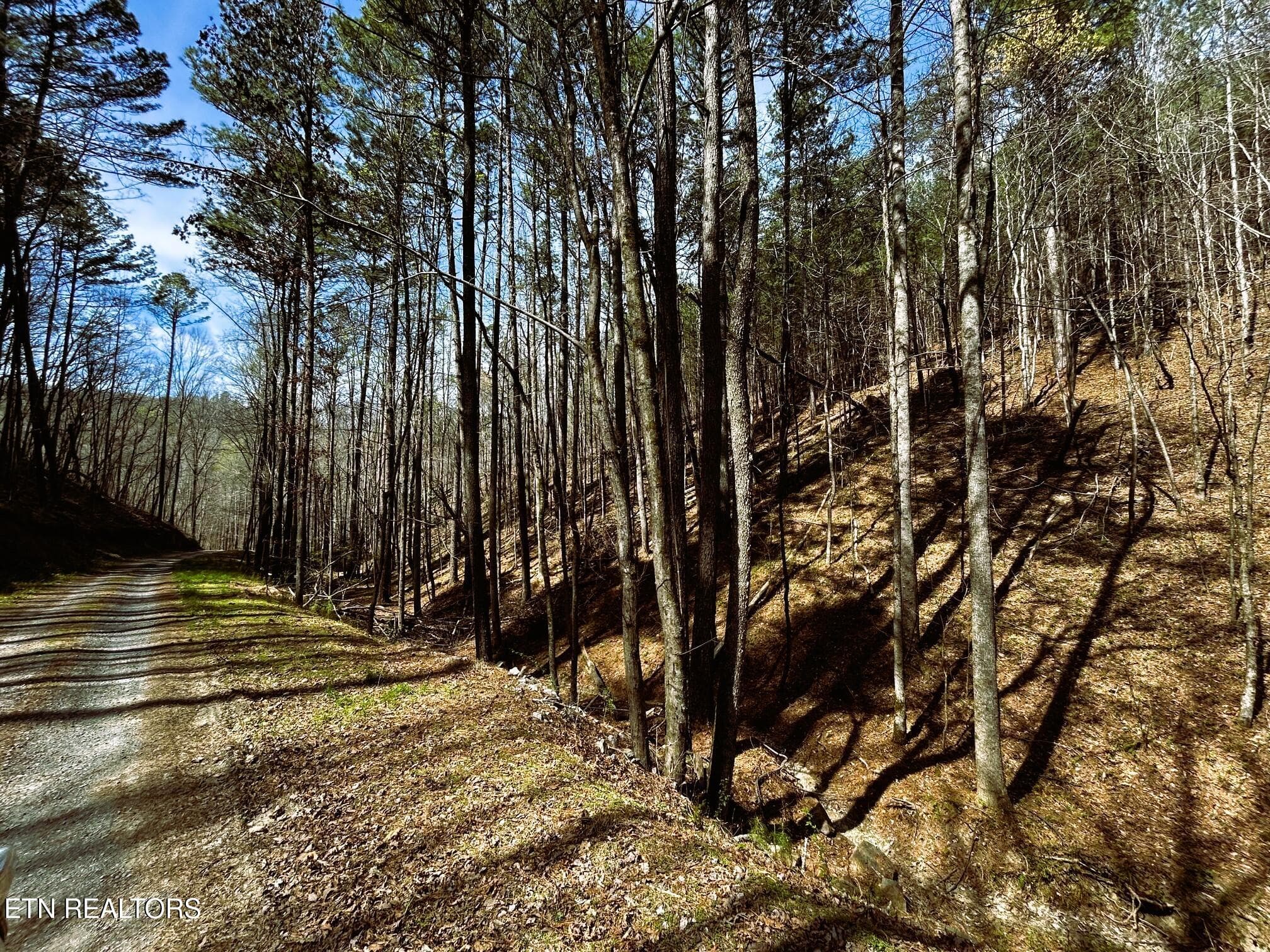 OWL 2 34 - Tract 2 SW Owl Hollow, McDonald, TN 37353