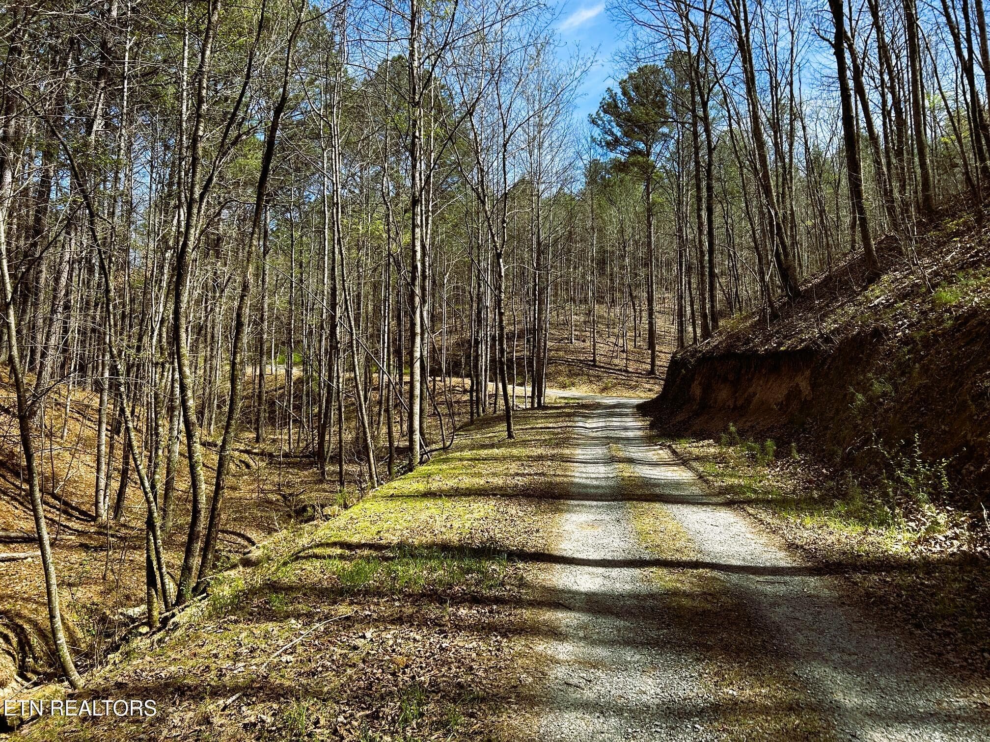OWL 2 35 - Tract 2 SW Owl Hollow, McDonald, TN 37353