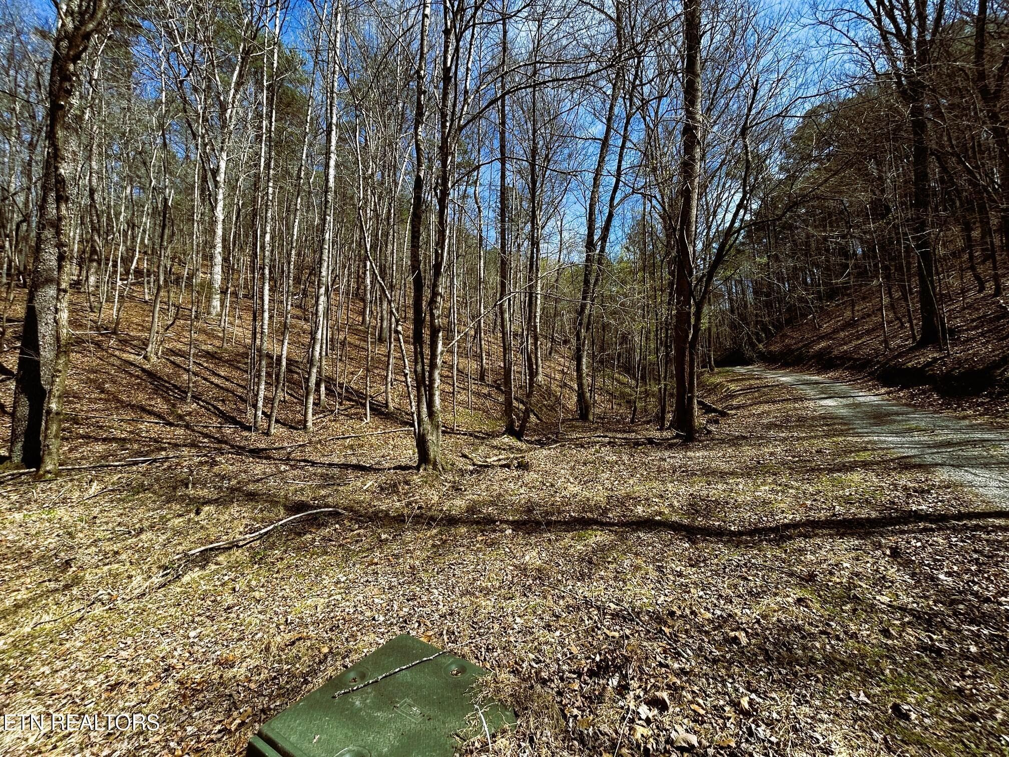 OWL 2 36 - Tract 2 SW Owl Hollow, McDonald, TN 37353