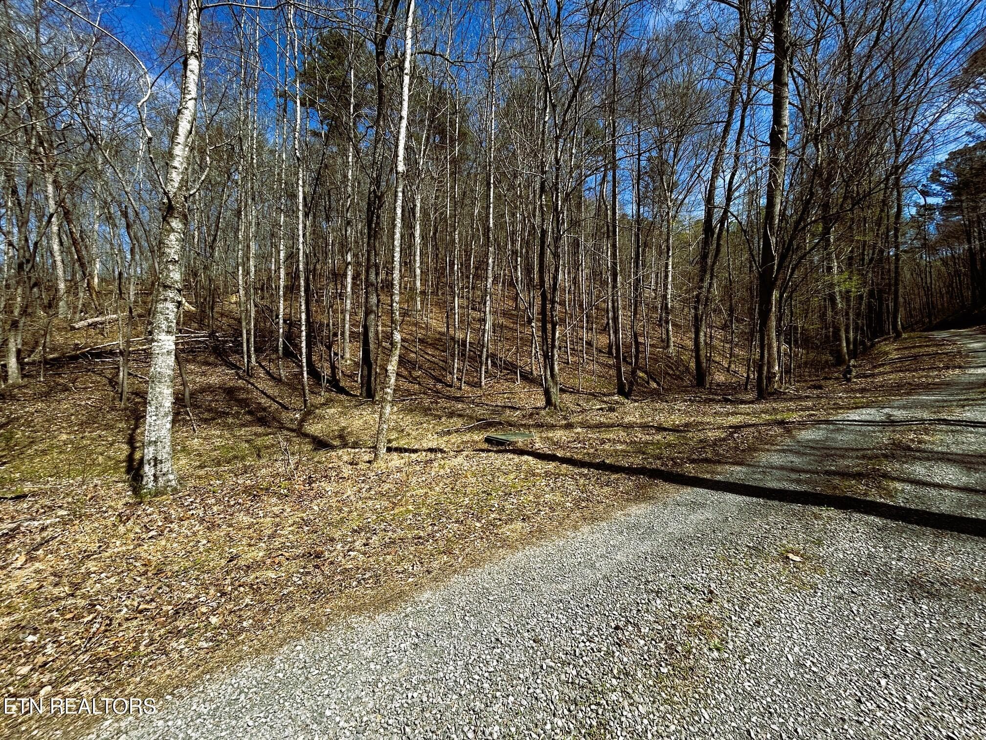 owl 2 37 - Tract 2 SW Owl Hollow, McDonald, TN 37353
