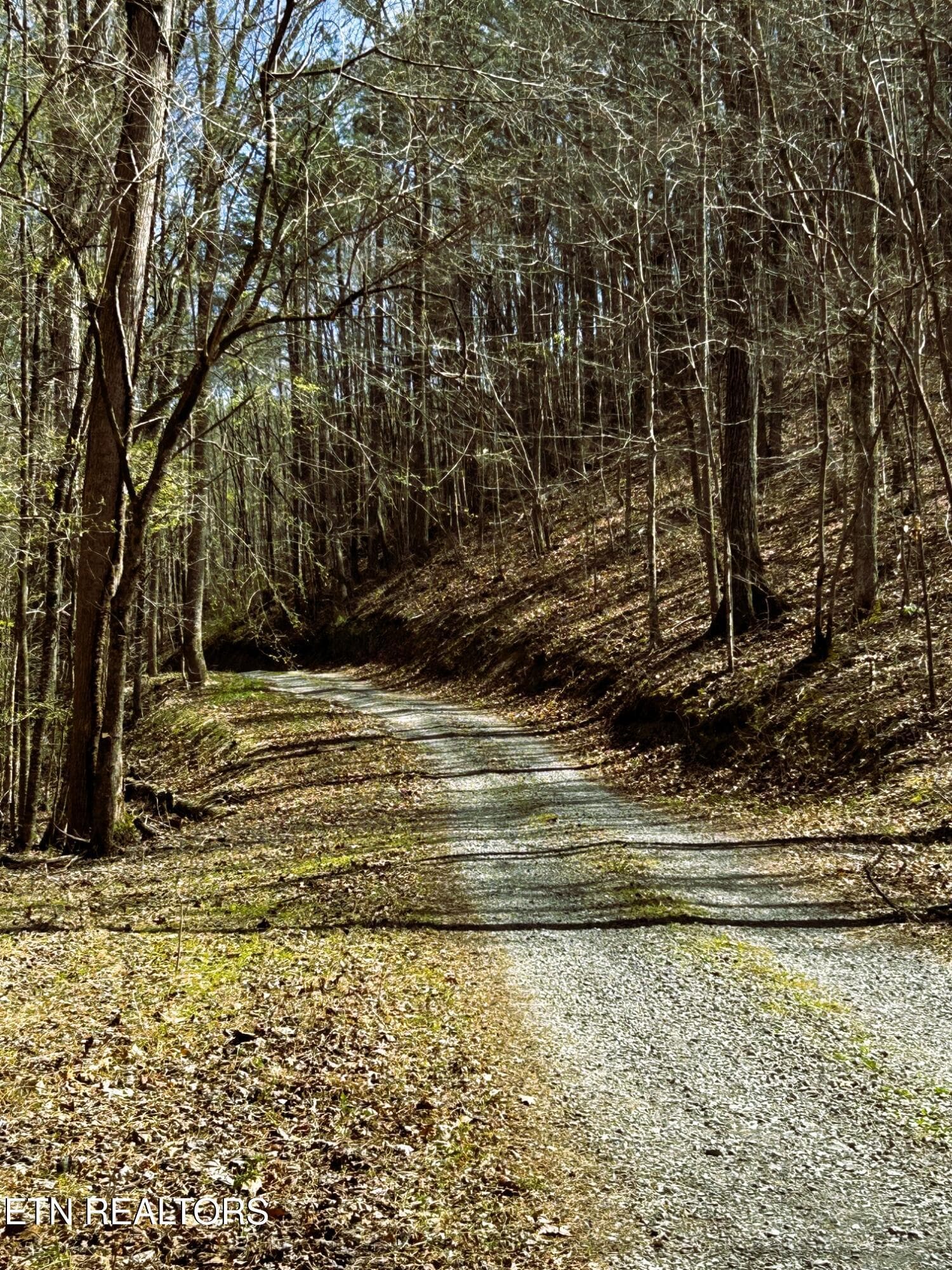 owl 2 39 - Tract 2 SW Owl Hollow, McDonald, TN 37353