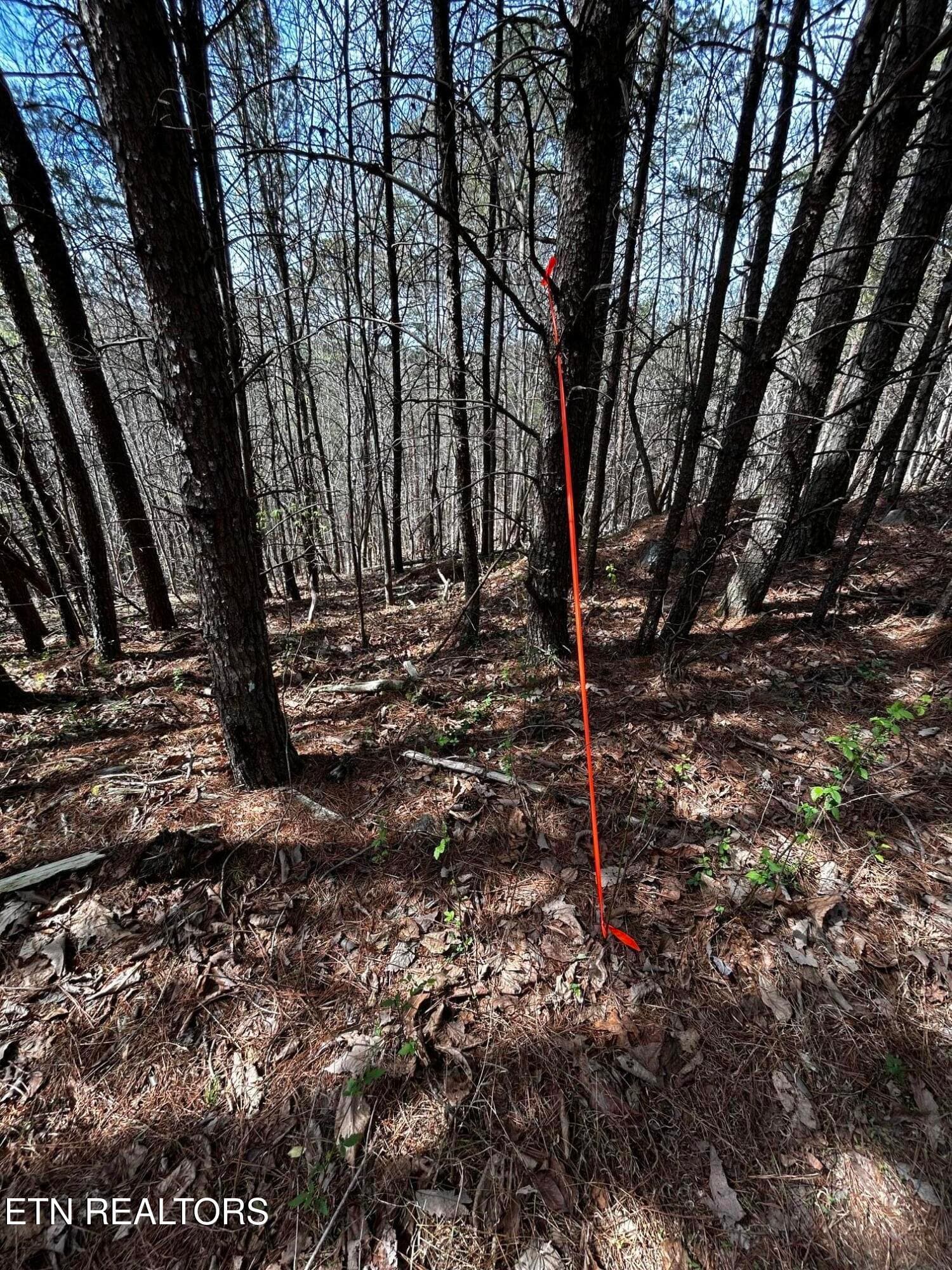 owl 2 2 - Tract 2 SW Owl Hollow, McDonald, TN 37353