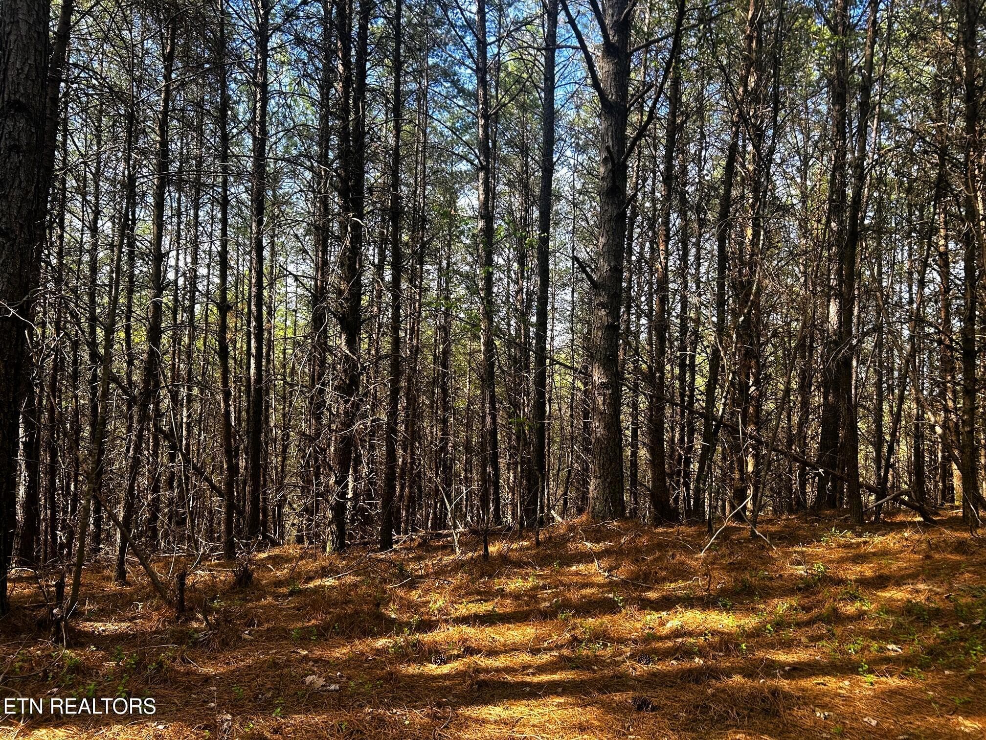 owl 6 2 - Tract 6 SW Owl Hollow, McDonald, TN 37353