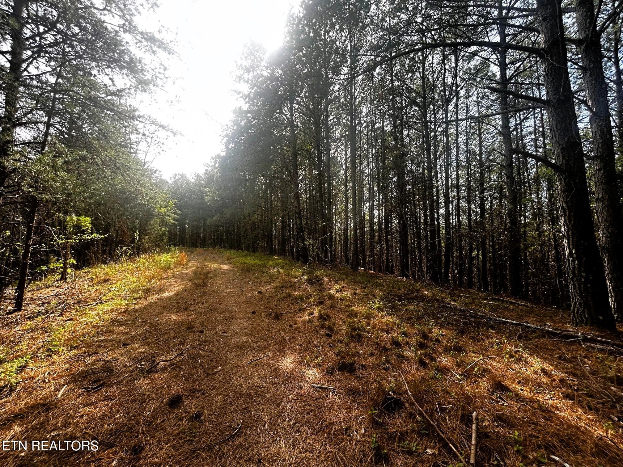 owl 6 building sites multiple - Tract 6 SW Owl Hollow, McDonald, TN 37353