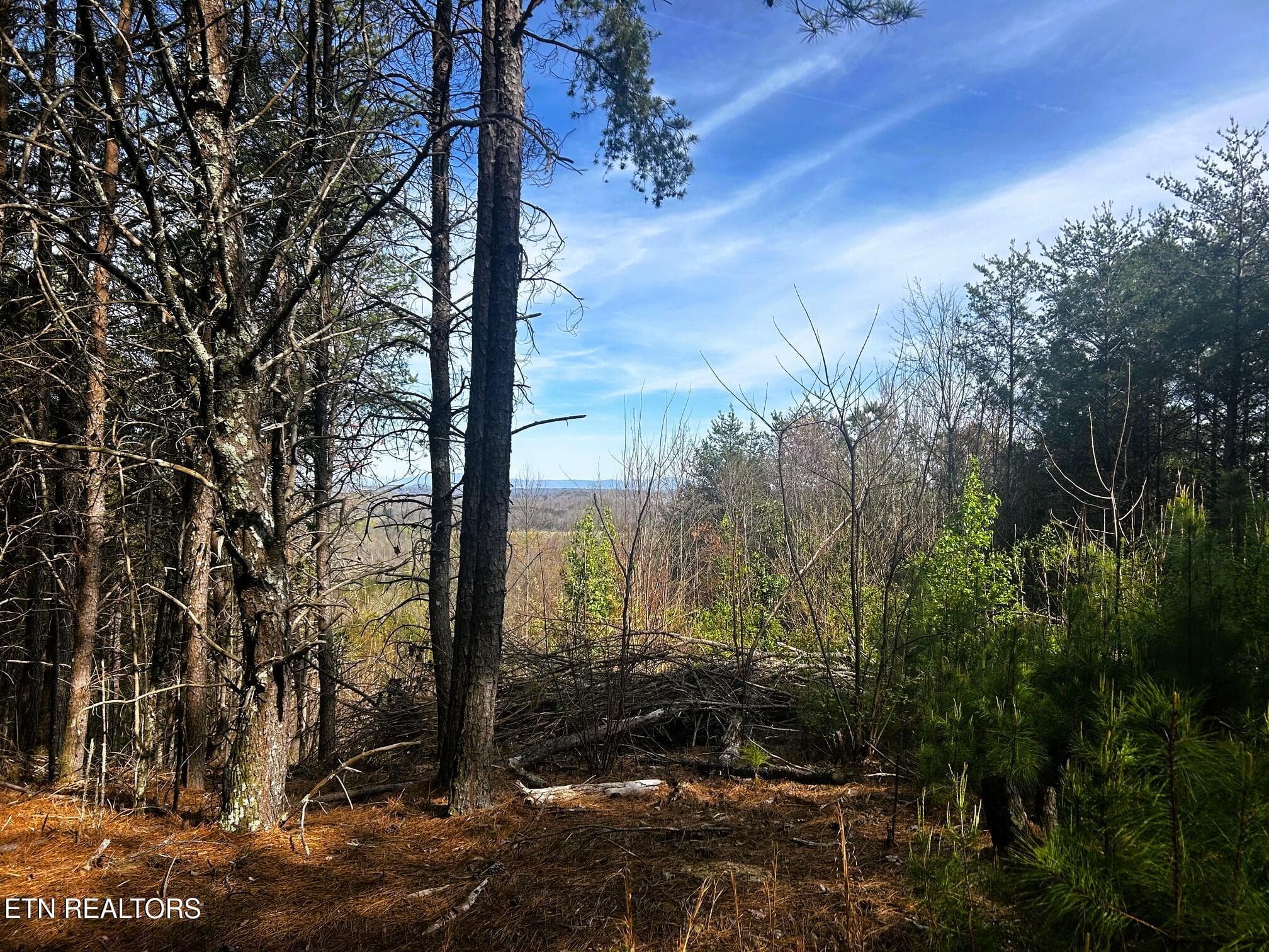 owl 6 buildsite - Tract 6 SW Owl Hollow, McDonald, TN 37353