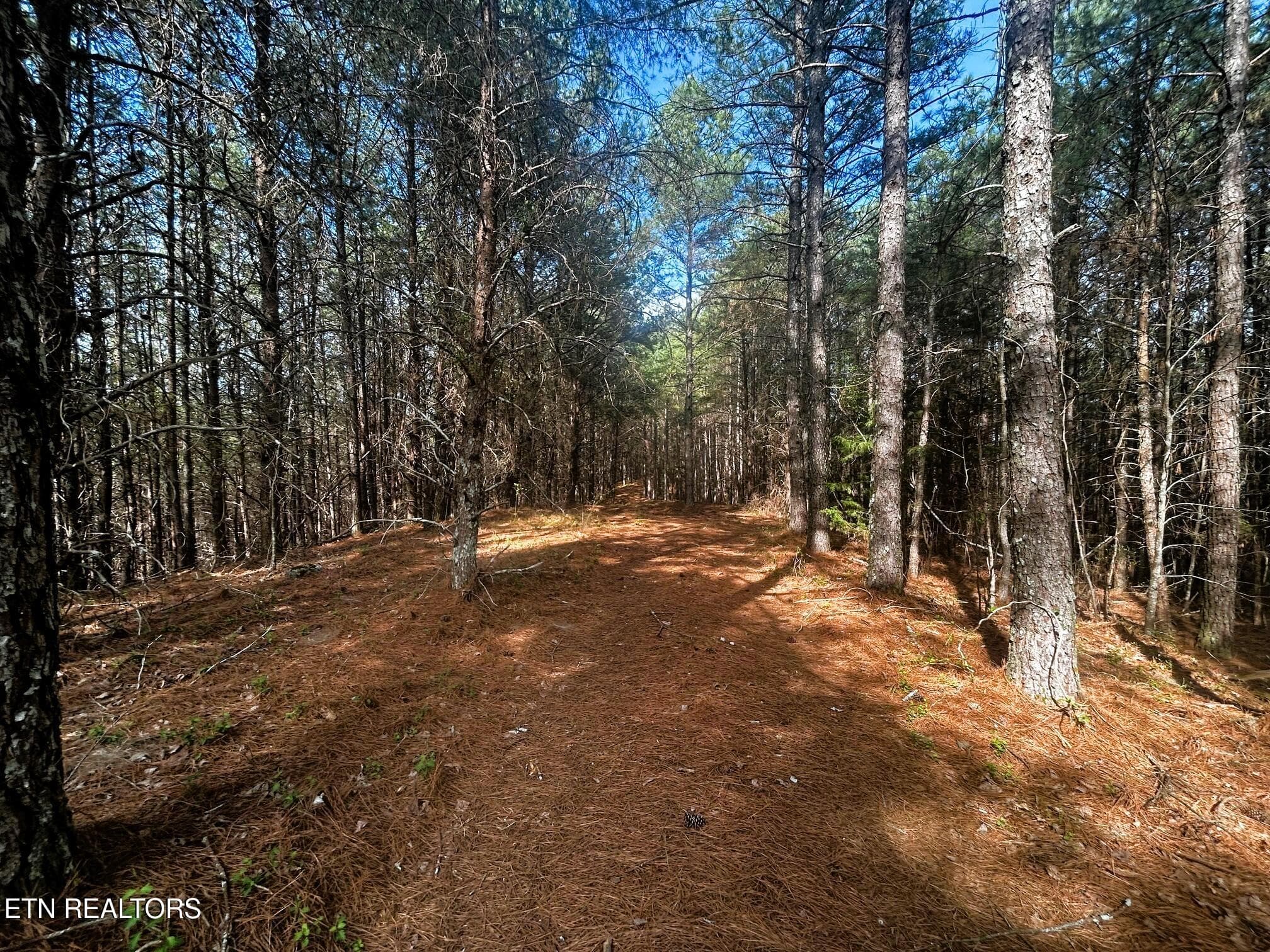 owl 6 driveable - Tract 6 SW Owl Hollow, McDonald, TN 37353