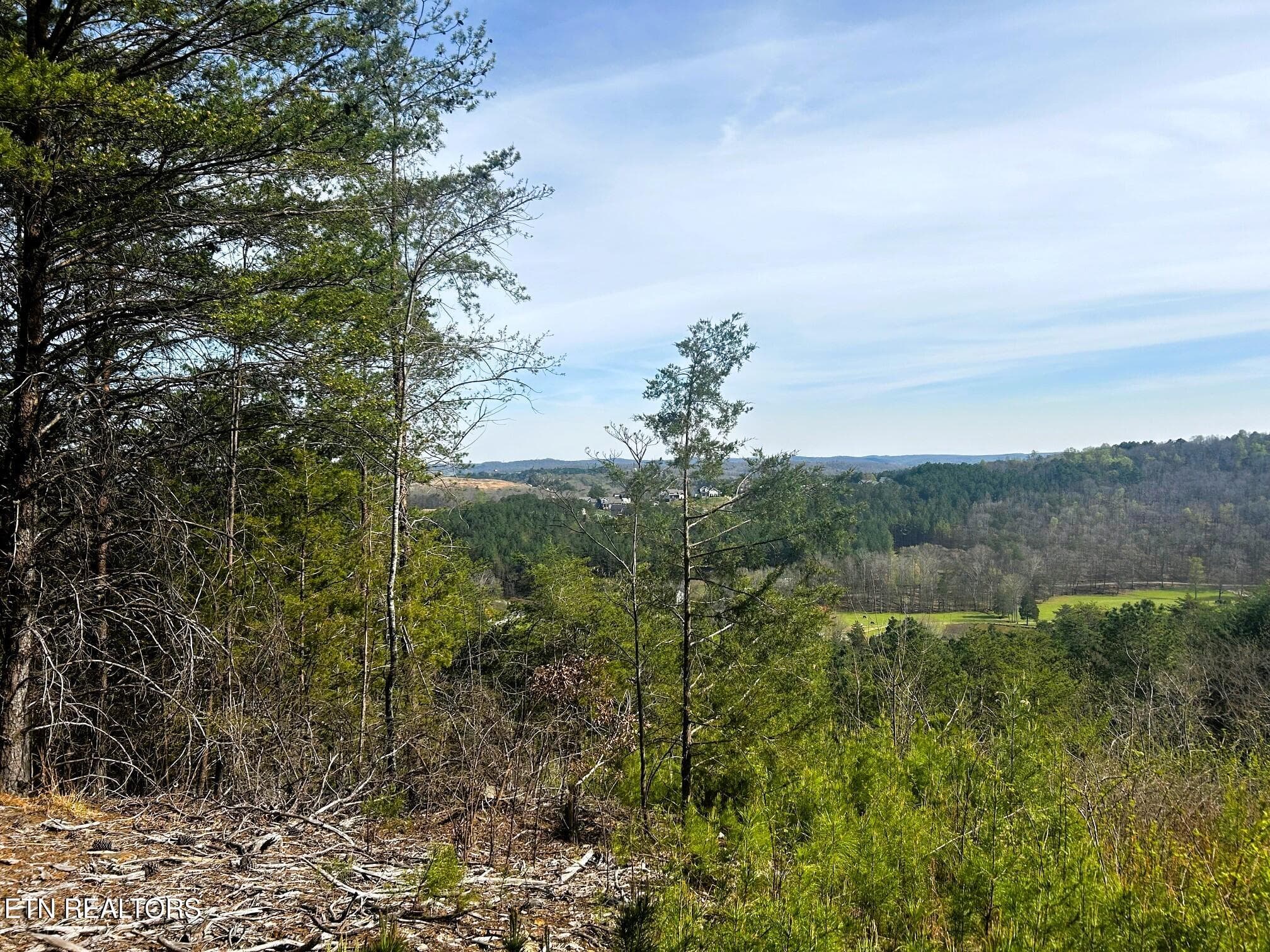 owl 6 n 7 views topside - Tract 6 SW Owl Hollow, McDonald, TN 37353