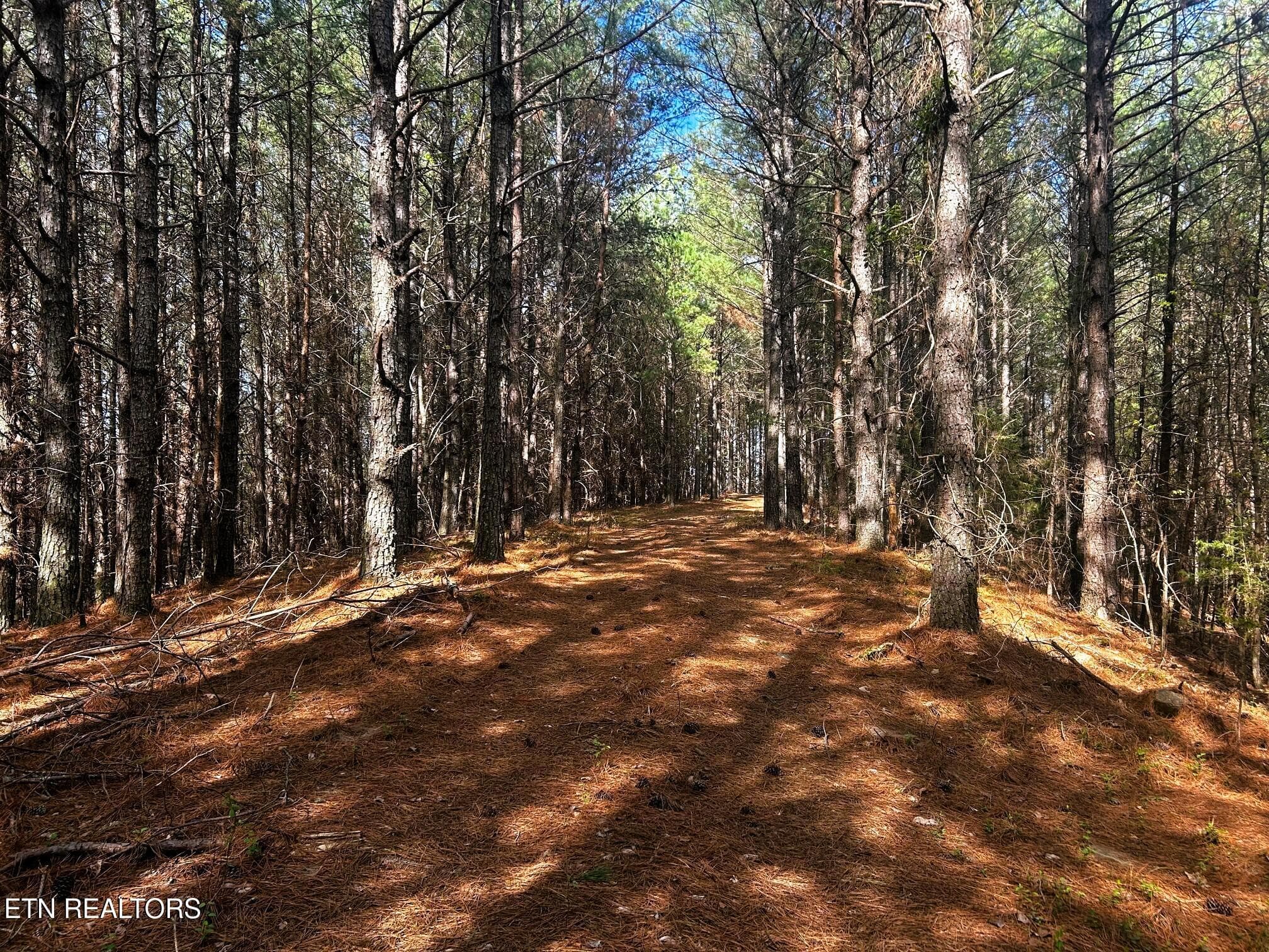 owl 6 roads 2 - Tract 6 SW Owl Hollow, McDonald, TN 37353