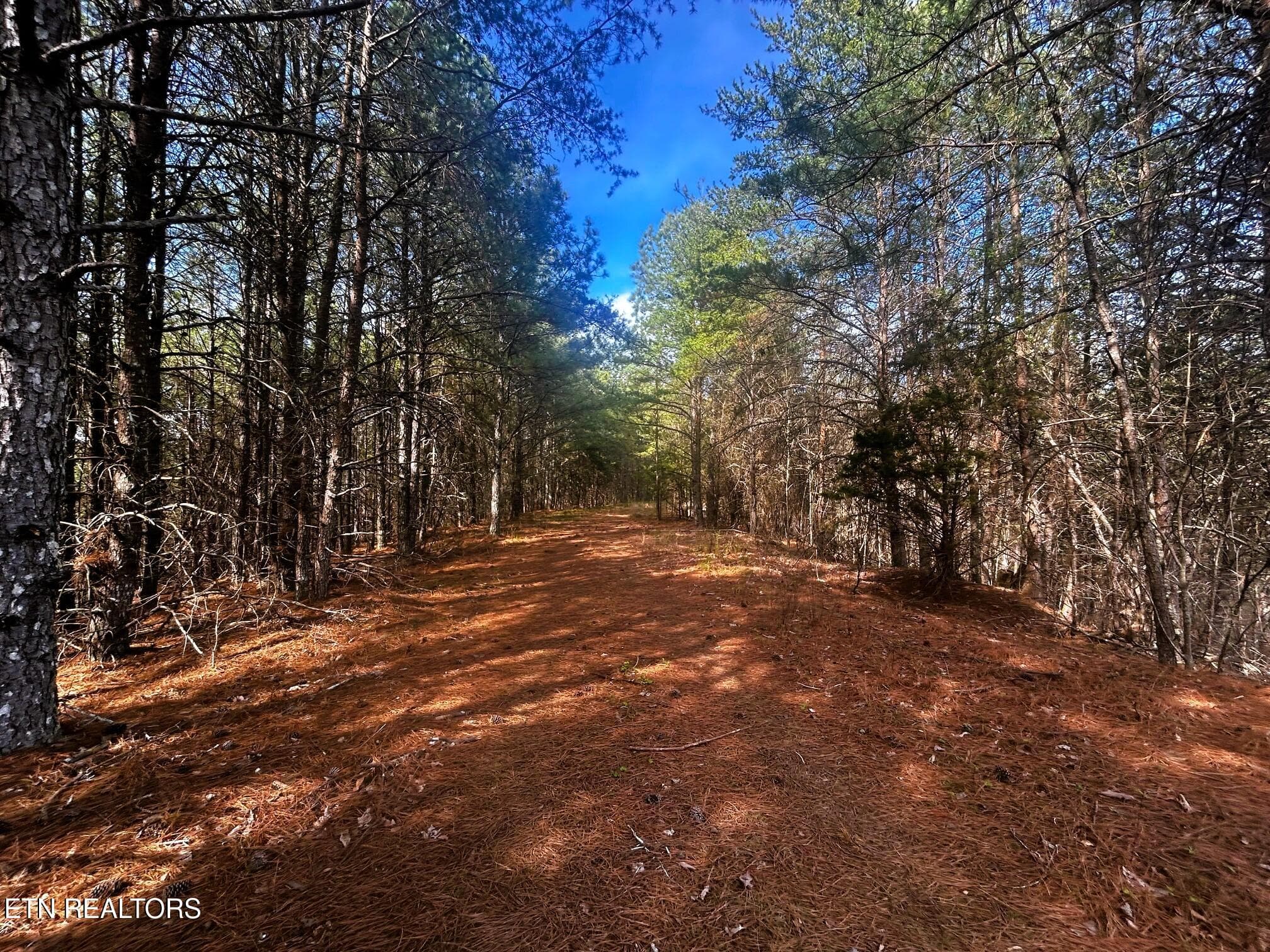 owl 6 roads - Tract 6 SW Owl Hollow, McDonald, TN 37353