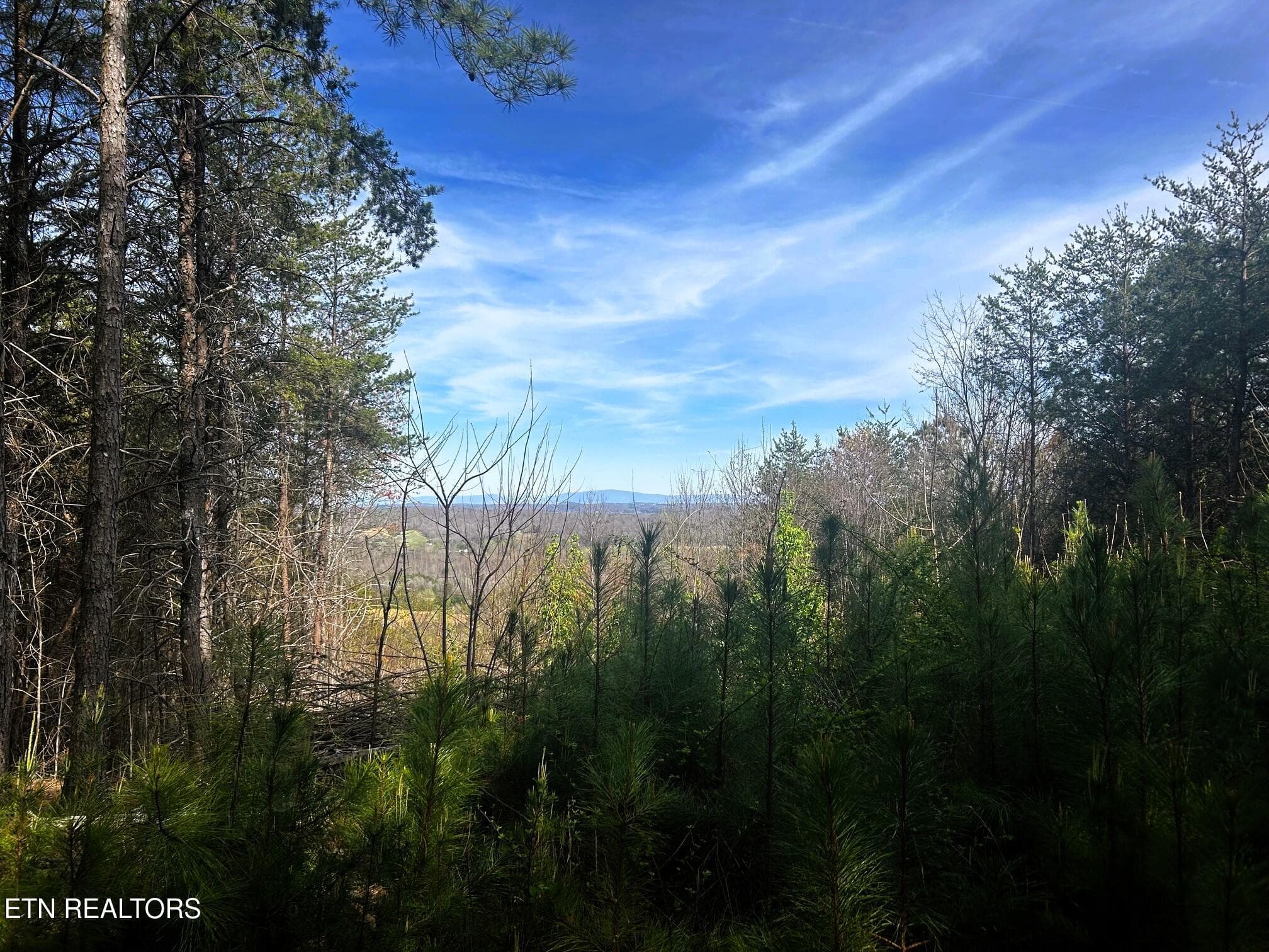 owl 6 views 2 buildsite - Tract 6 SW Owl Hollow, McDonald, TN 37353