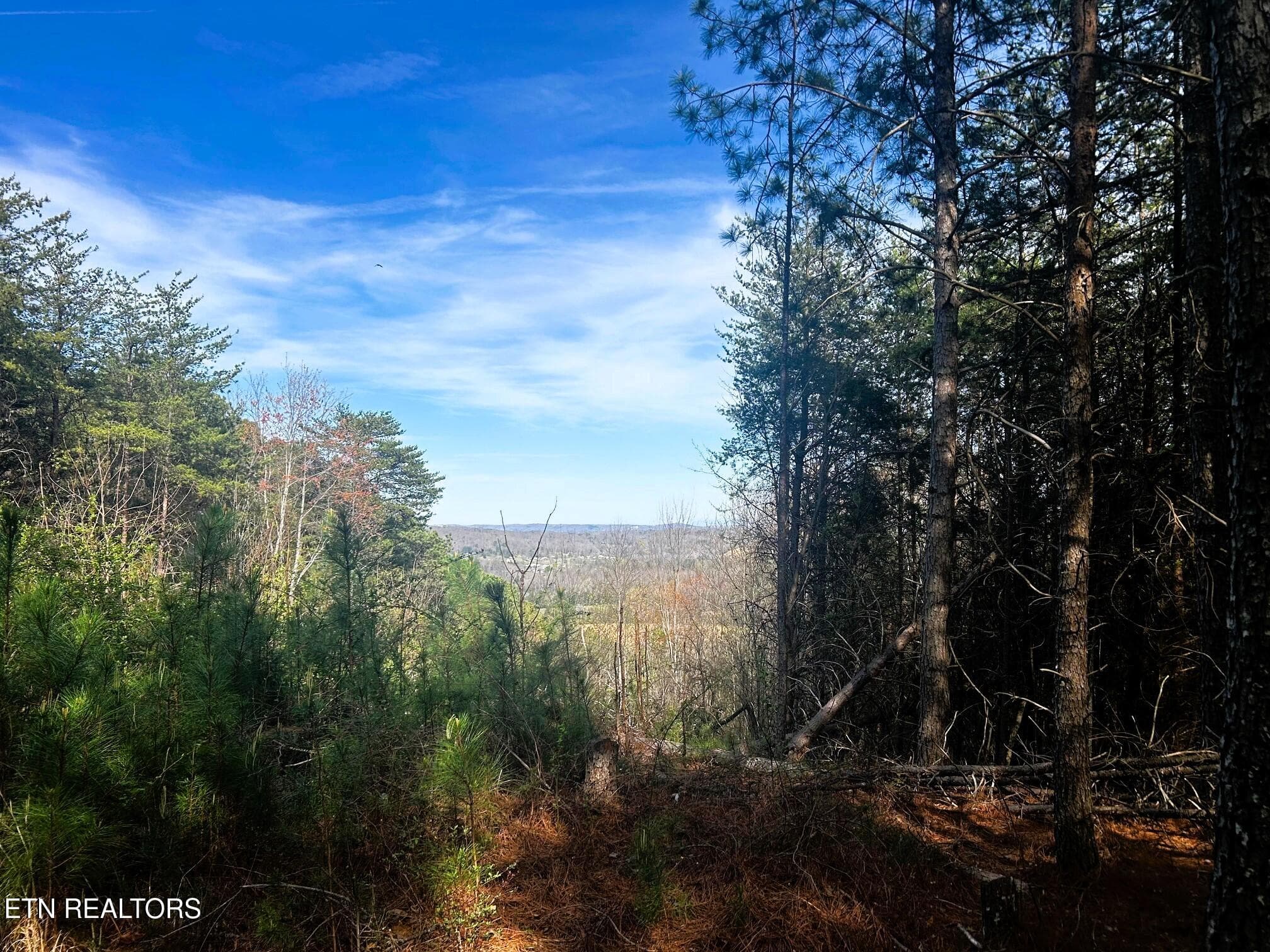 owl 6 views to the east - Tract 6 SW Owl Hollow, McDonald, TN 37353
