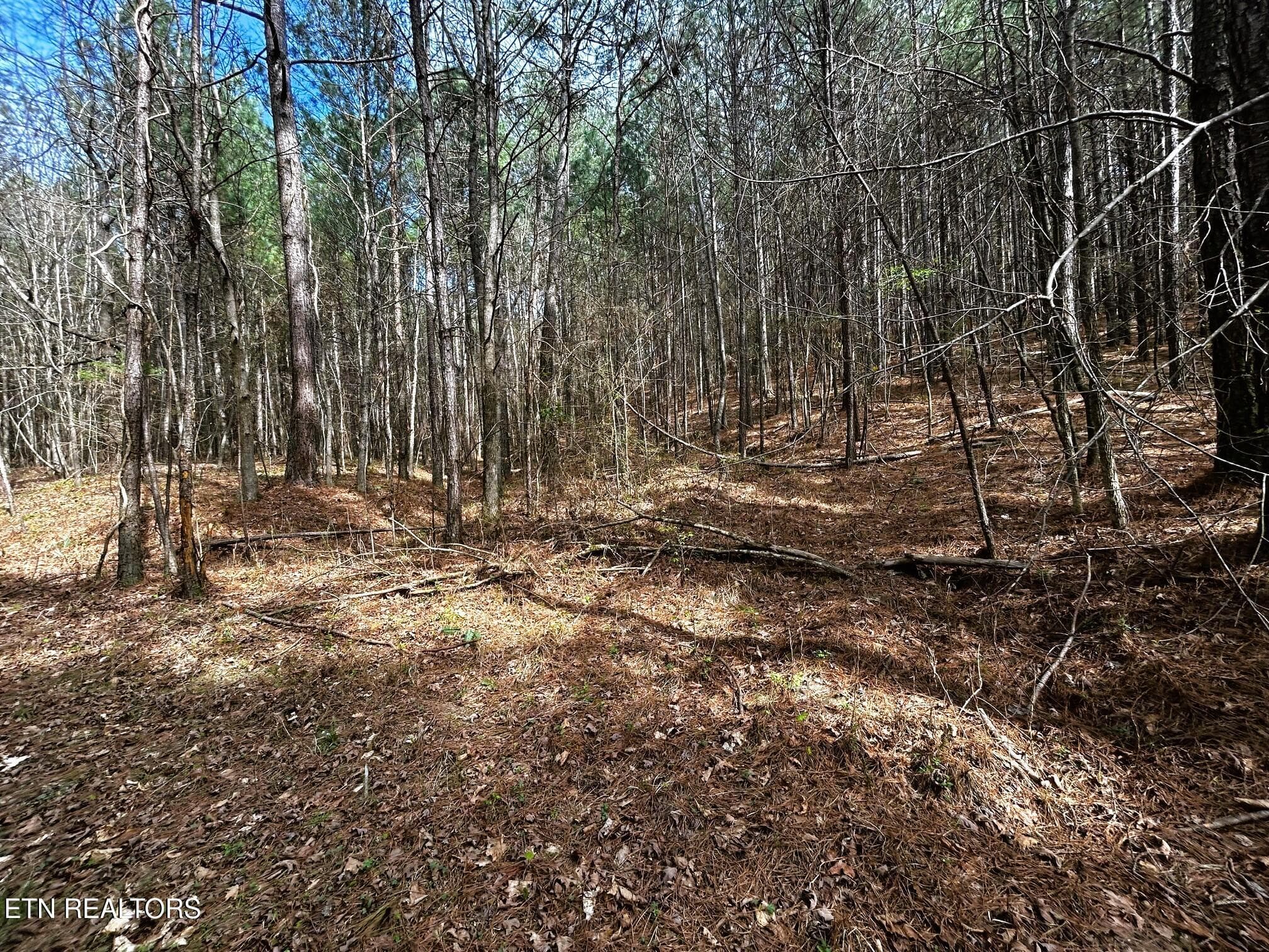 owl 6 - Tract 6 SW Owl Hollow, McDonald, TN 37353