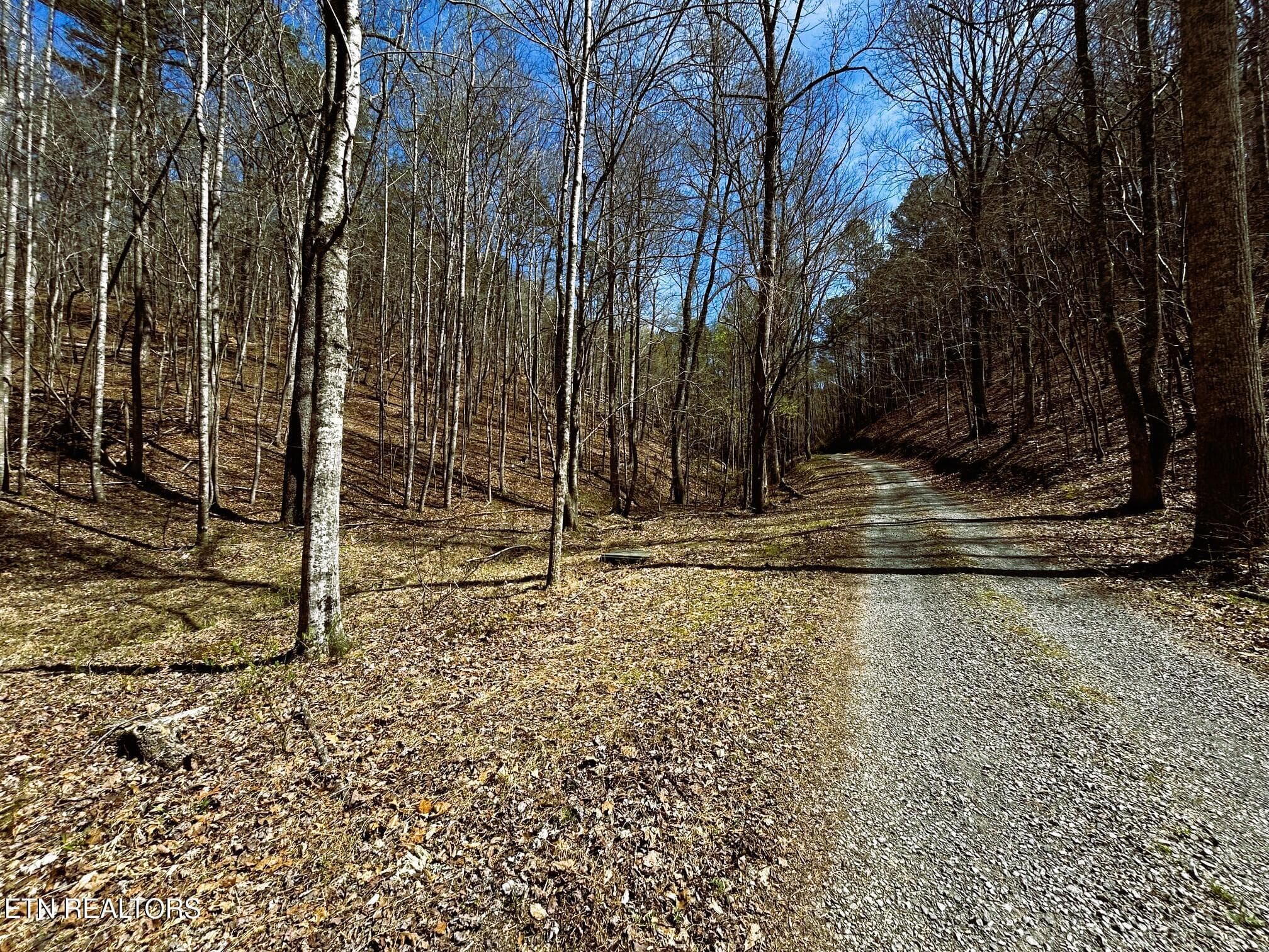Driveway - Tract 6 SW Owl Hollow, McDonald, TN 37353