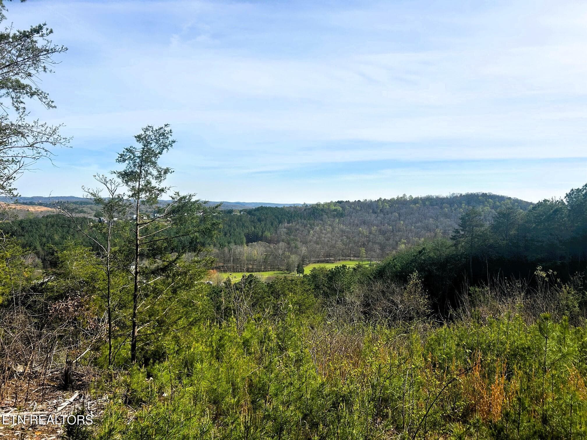 Tract 7 SW Owl Hollow, McDonald, TN 37353