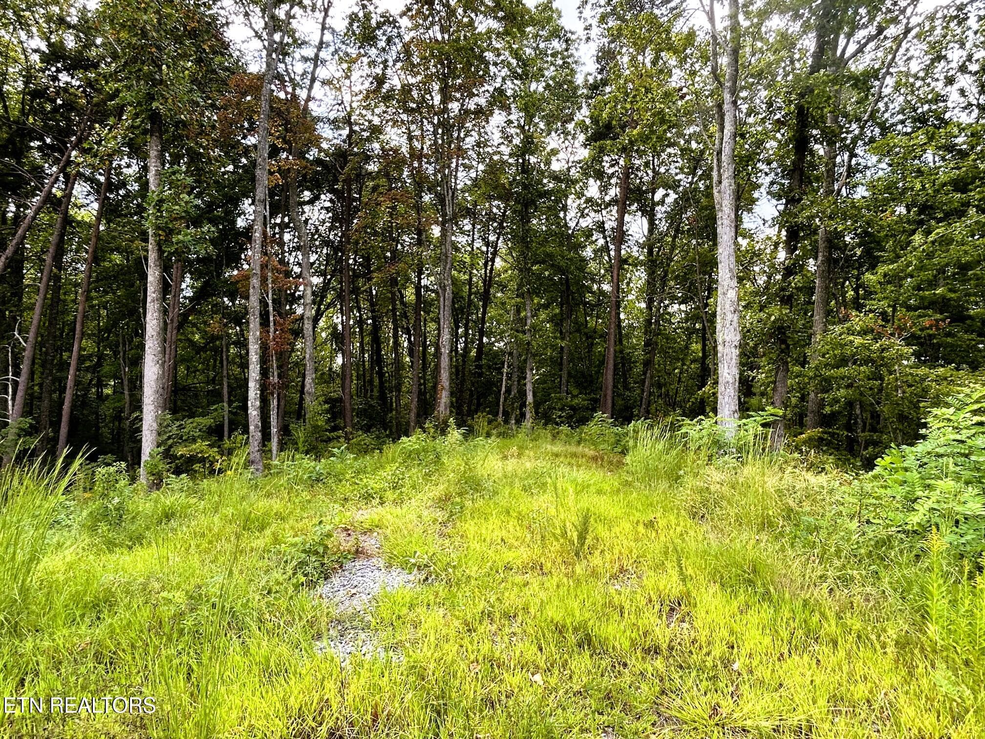 107 Chestnut 10 - 107 Chestnut Mountain Rd, Reliance, TN 37369