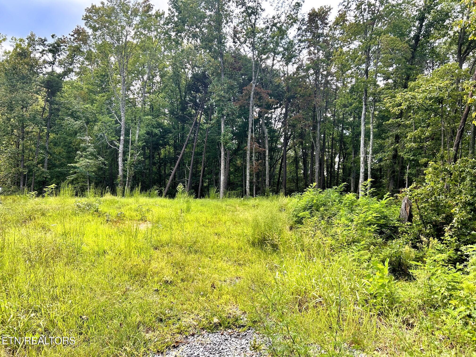 107 Chestnut 13 - 107 Chestnut Mountain Rd, Reliance, TN 37369