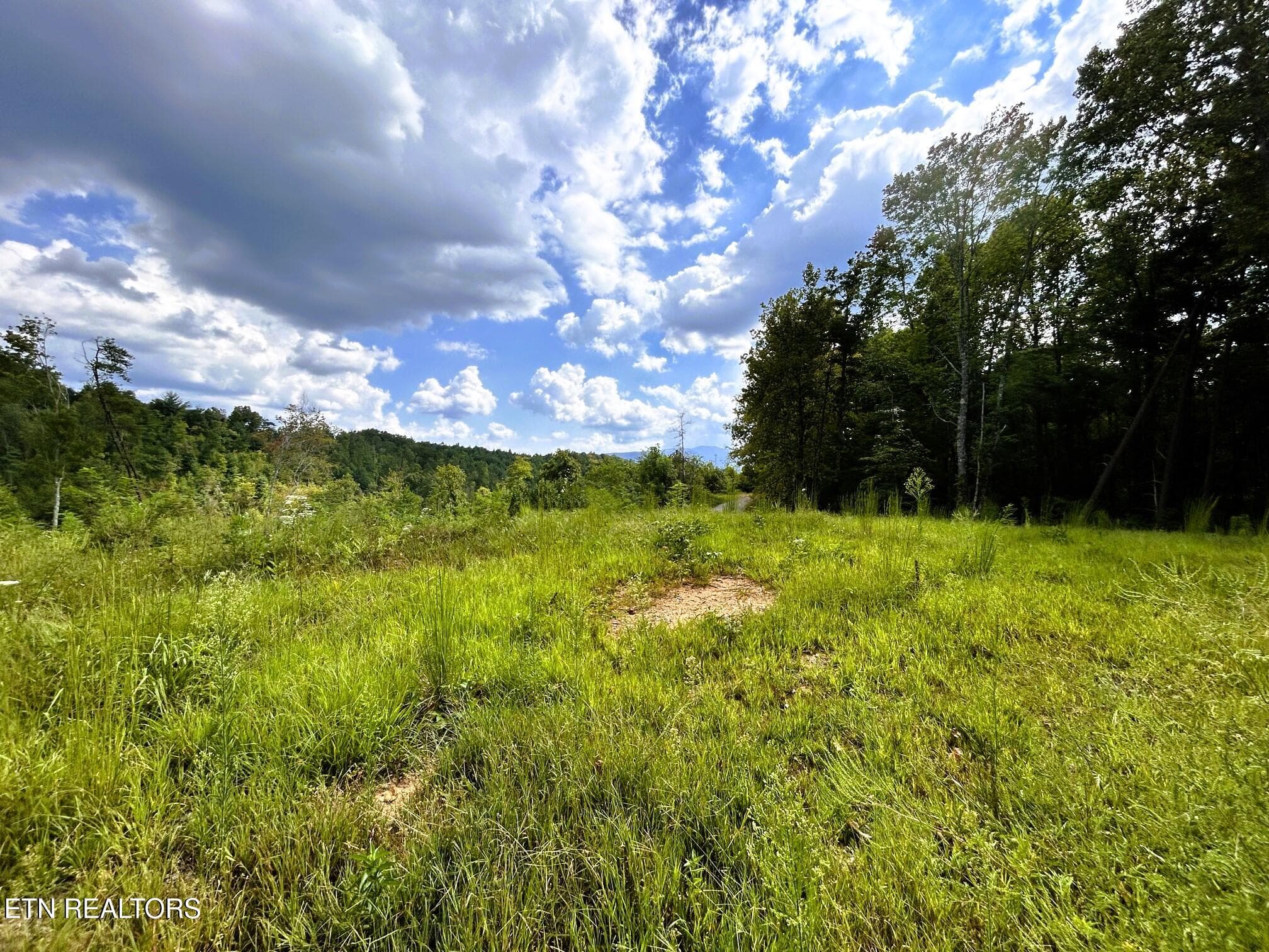 107 Chestnut 15 - 107 Chestnut Mountain Rd, Reliance, TN 37369