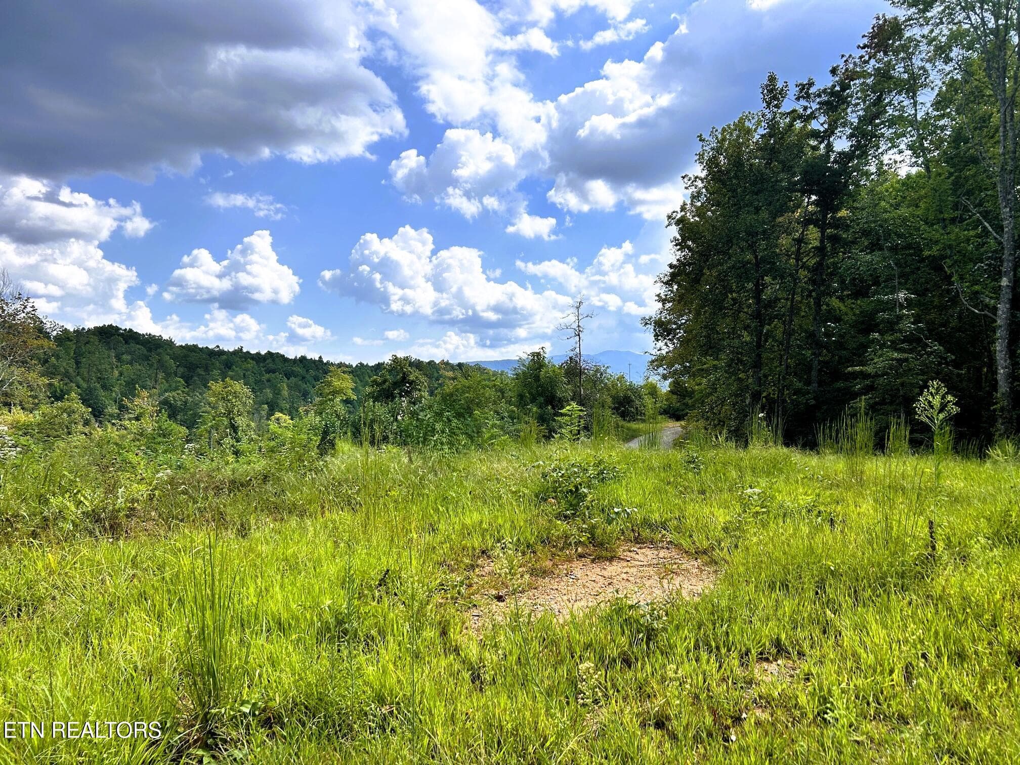 107 Chestnut 14 - 107 Chestnut Mountain Rd, Reliance, TN 37369