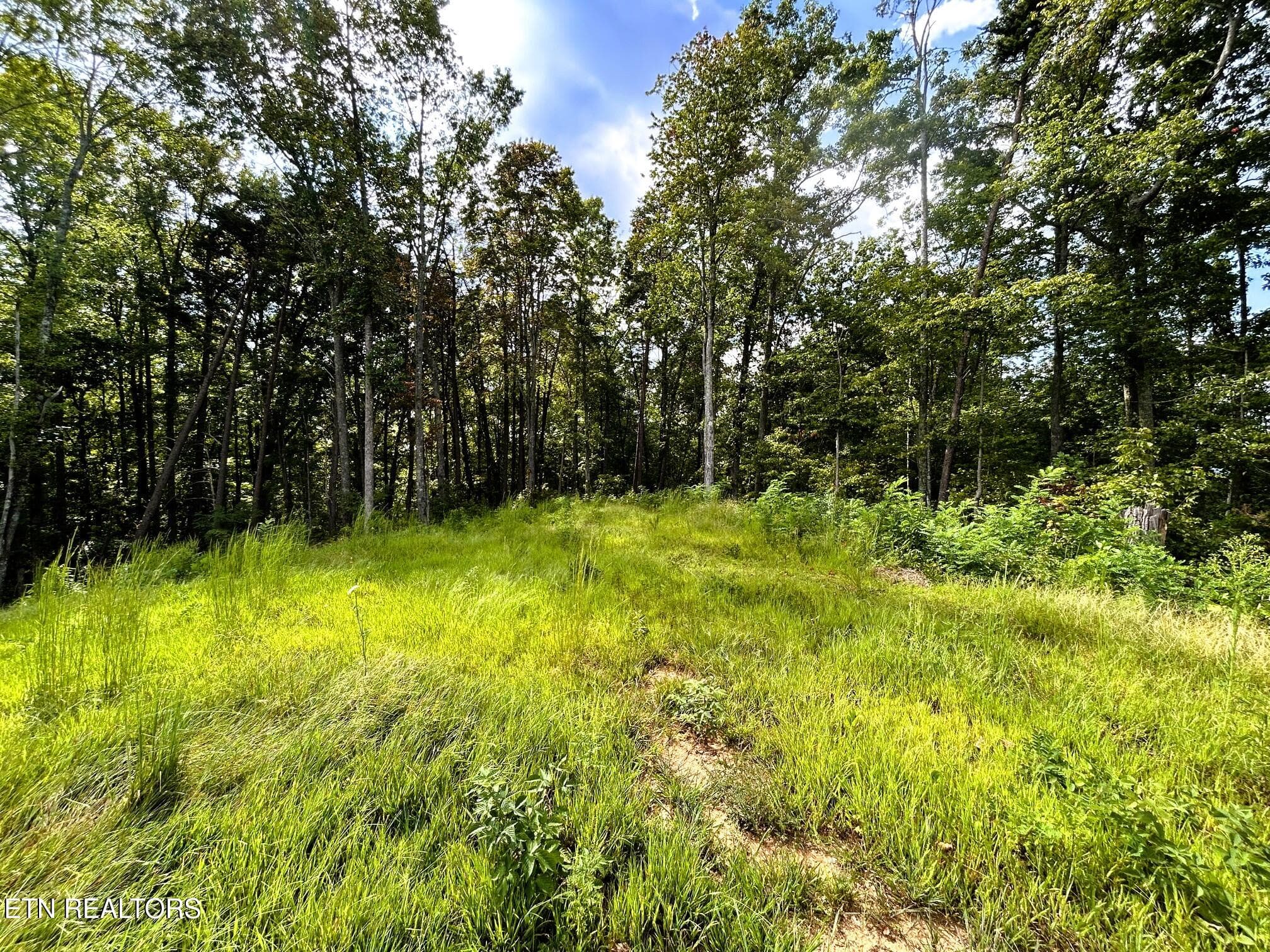 107 chestnut 2 main - 107 Chestnut Mountain Rd, Reliance, TN 37369
