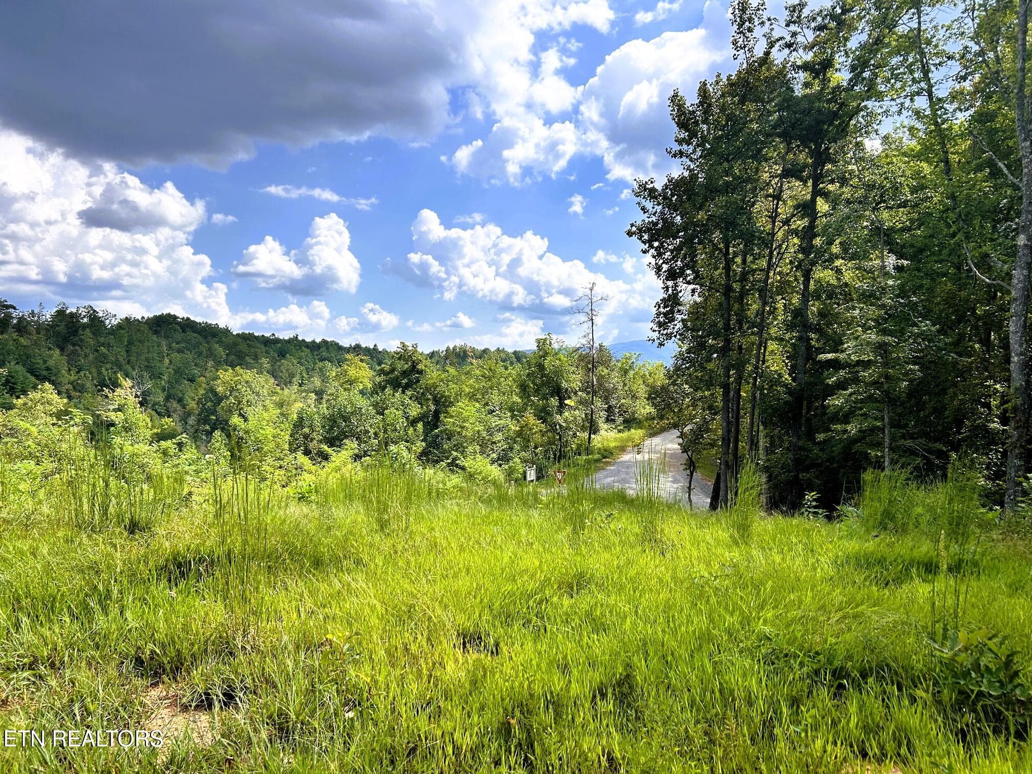 107 chestnut 5 - 107 Chestnut Mountain Rd, Reliance, TN 37369