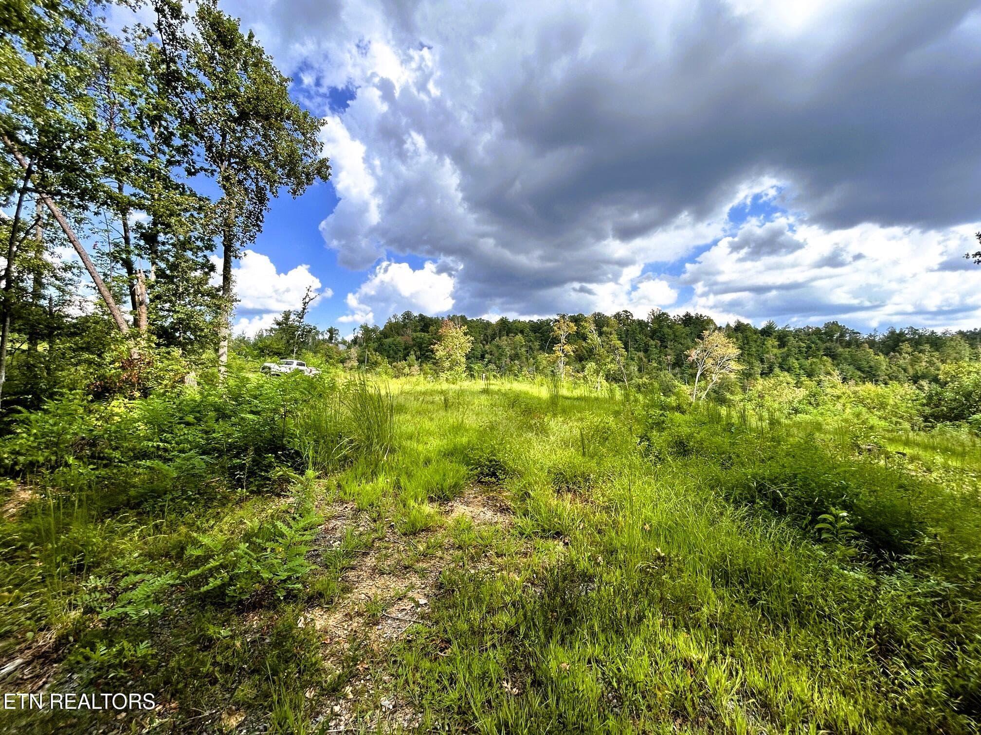 107 Chestnut 7 - 107 Chestnut Mountain Rd, Reliance, TN 37369