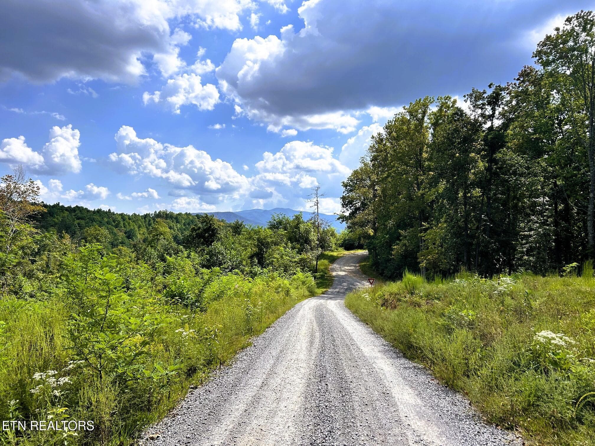 Chestnut roadfront - 125 Chestnut Mountain Rd, Reliance, TN 37369