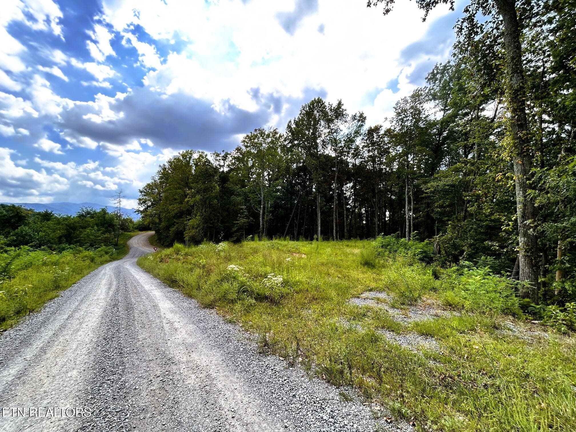 Roadfront - 125 Chestnut Mountain Rd, Reliance, TN 37369