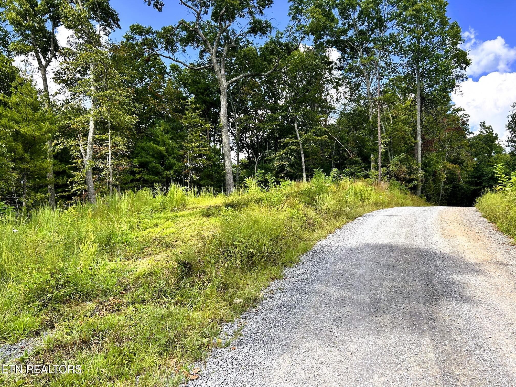 125 chestnut 4 - 125 Chestnut Mountain Rd, Reliance, TN 37369