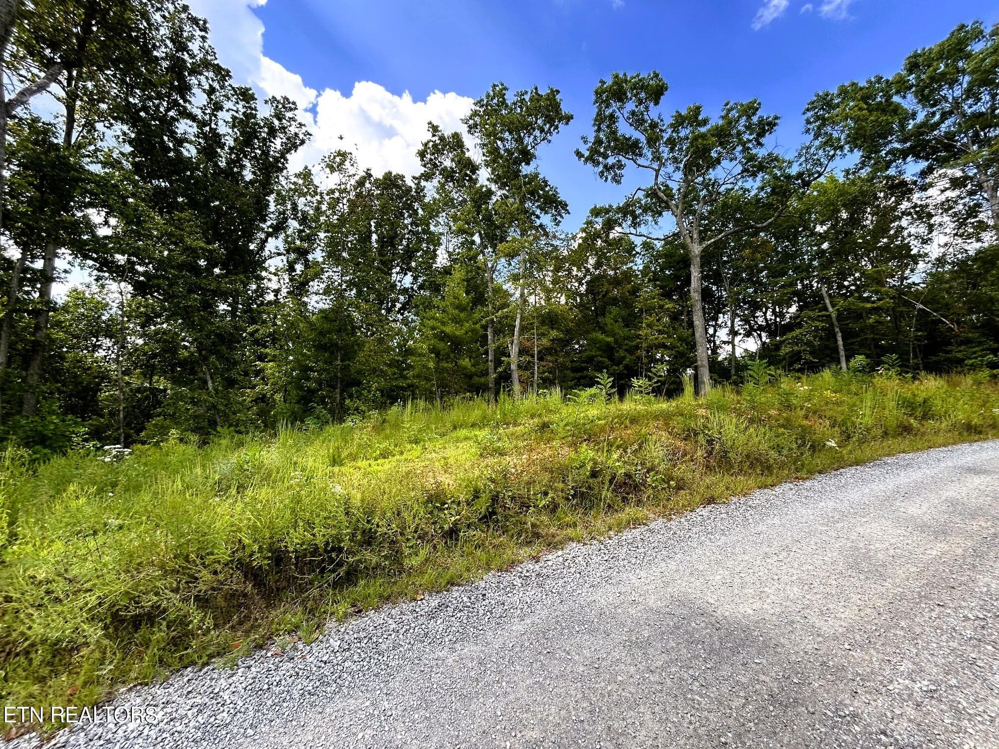 125 chestnut 5 - 125 Chestnut Mountain Rd, Reliance, TN 37369