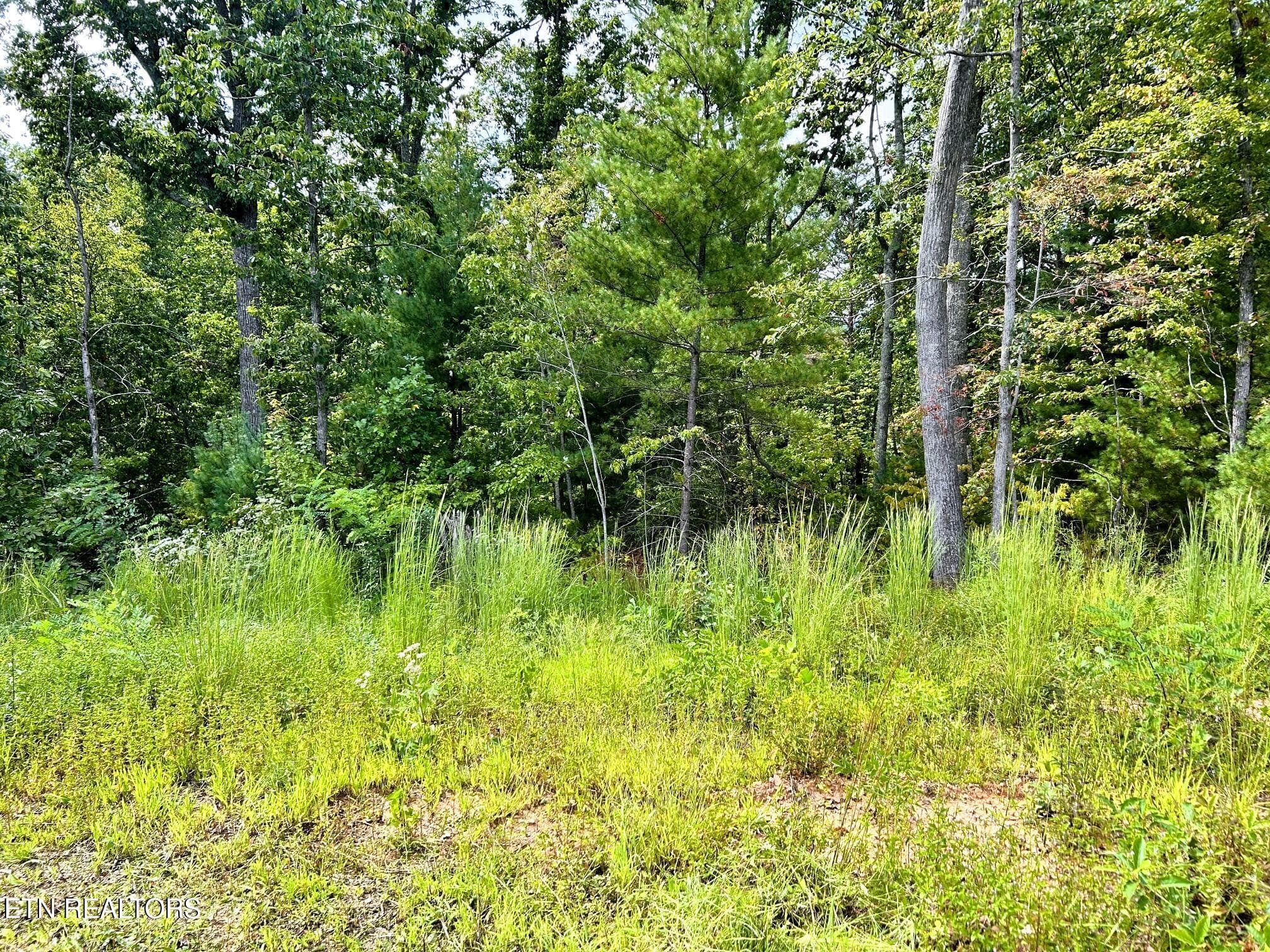 125 chestnut 7 - 125 Chestnut Mountain Rd, Reliance, TN 37369
