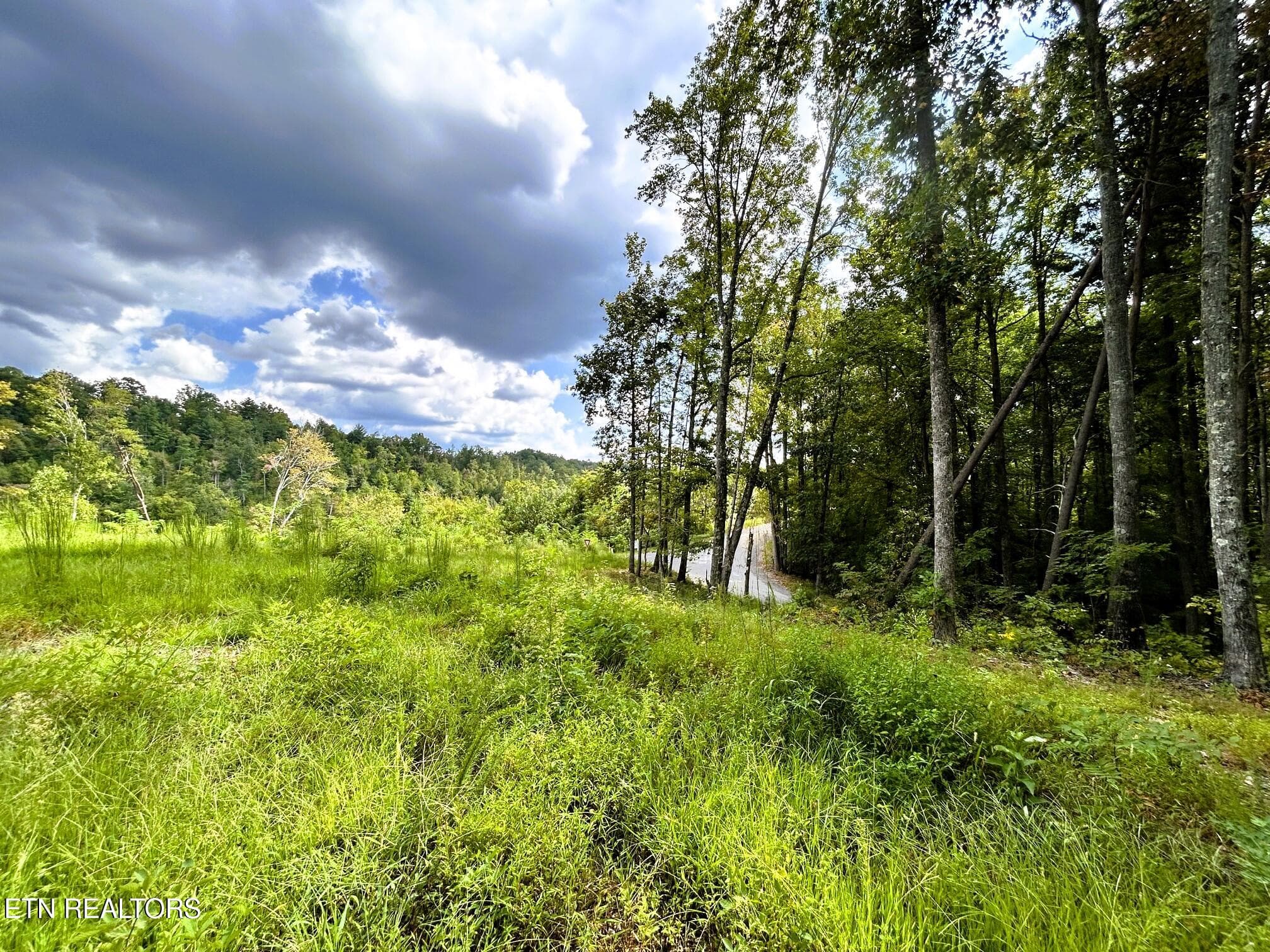 107 chestnut 6 - 107/125 Chestnut Mountain Rd, Reliance, TN 37369