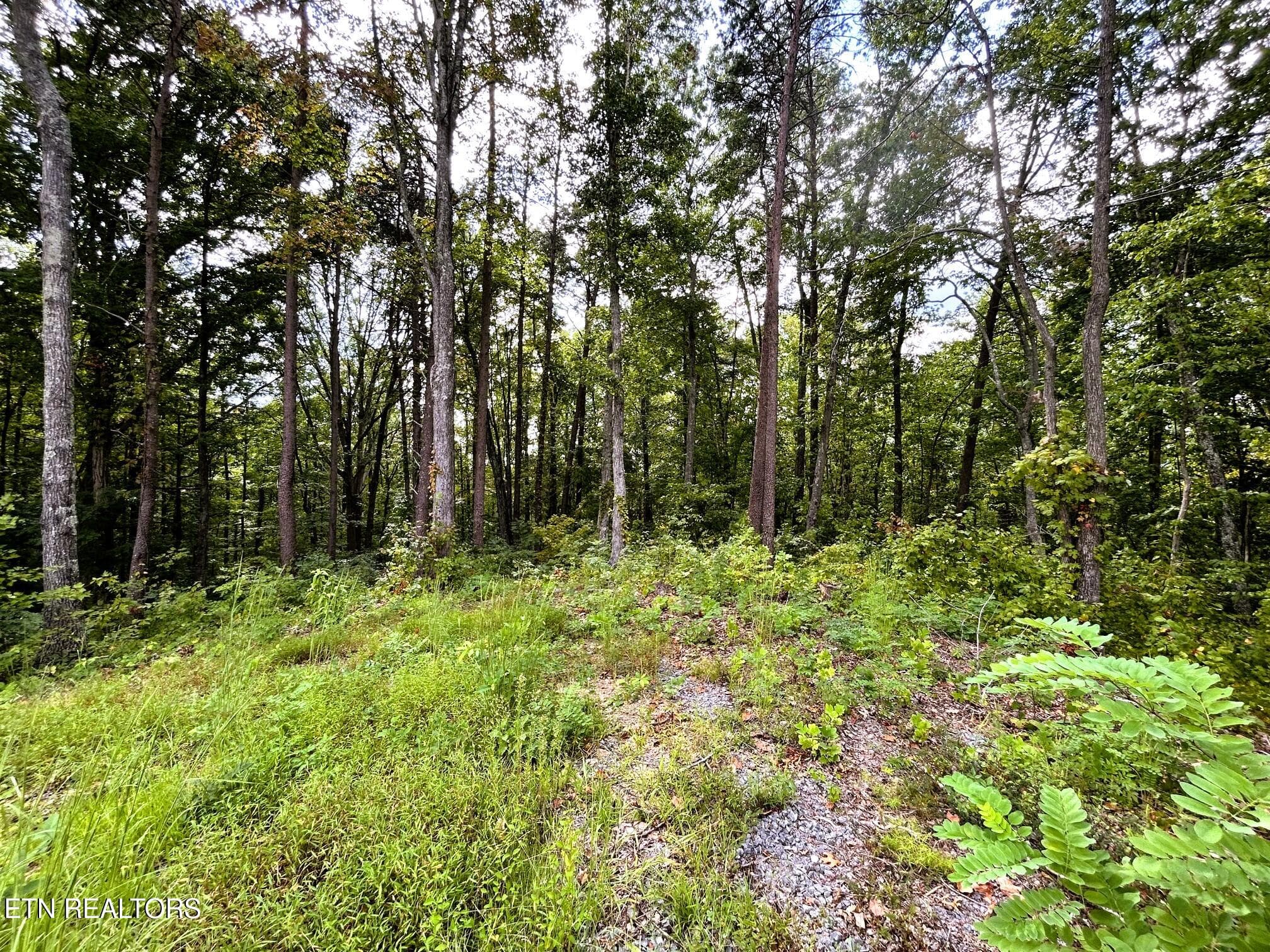 107 CHestnut 9 - 107/125 Chestnut Mountain Rd, Reliance, TN 37369