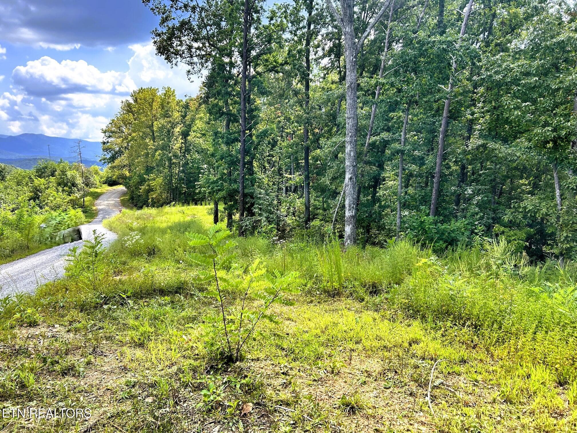 125 Chestnut 2 - 107/125 Chestnut Mountain Rd, Reliance, TN 37369